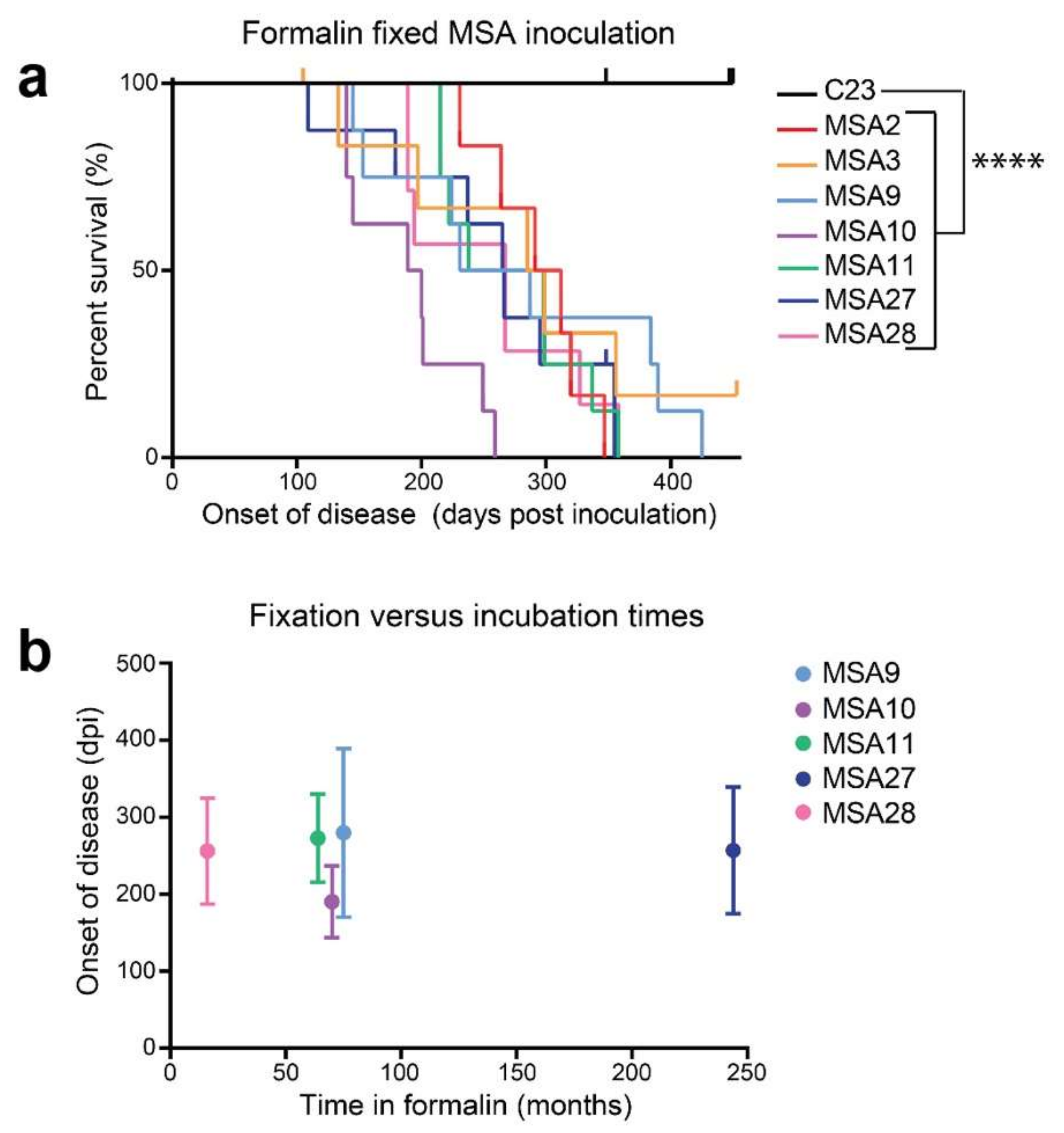 Ijms 22 04861 g004 Ijms 22 04861 g004