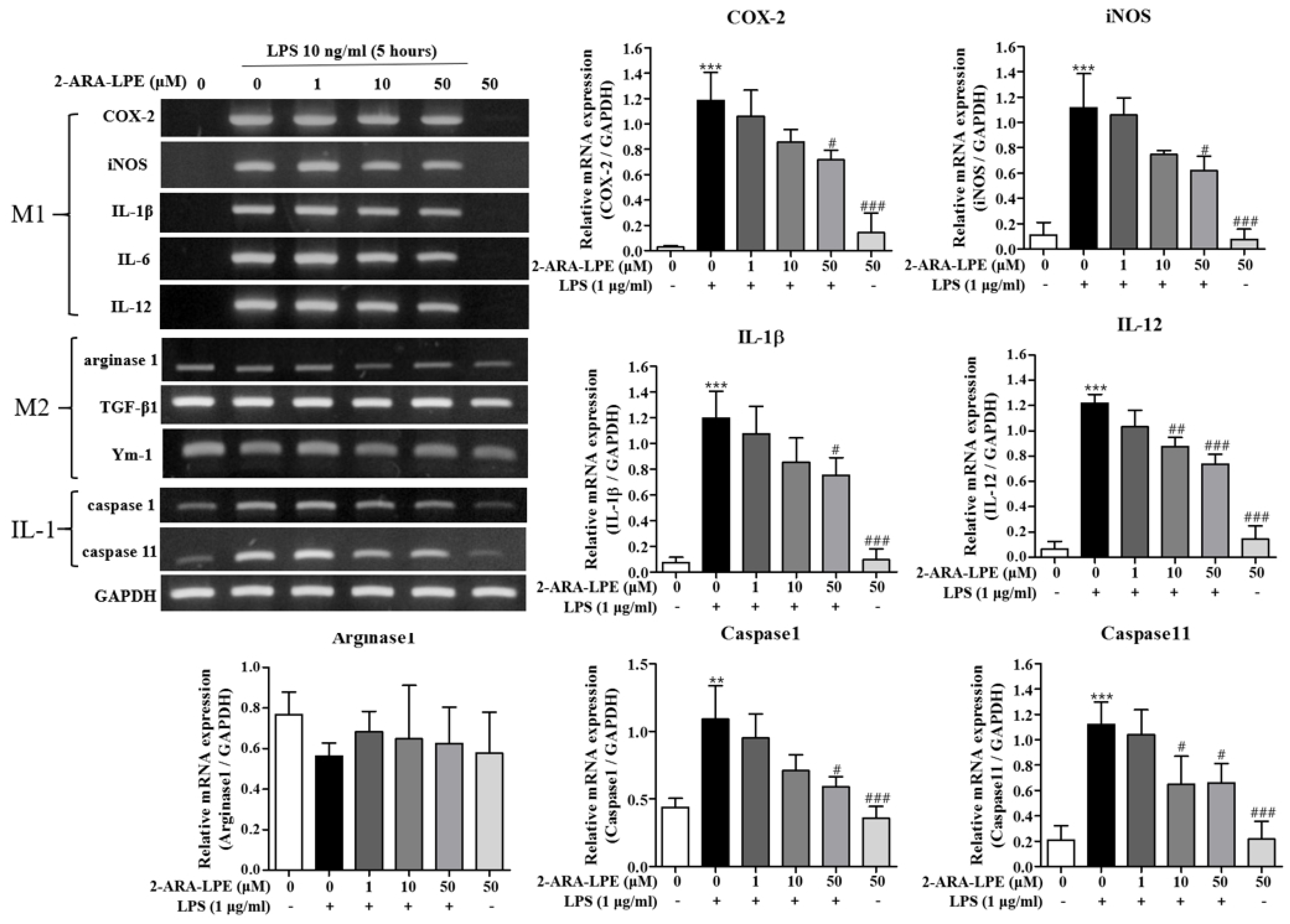 Ijms 22 04865 g001 Ijms 22 04865 g001