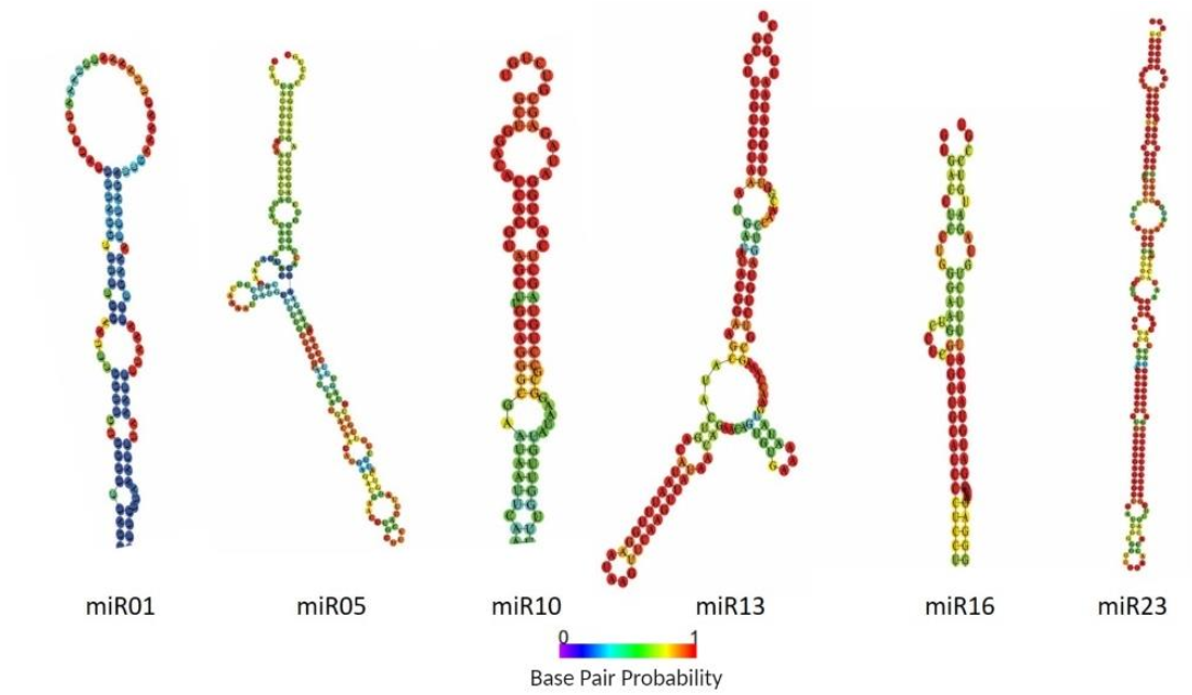 Ijms 22 04866 g003 Ijms 22 04866 g003