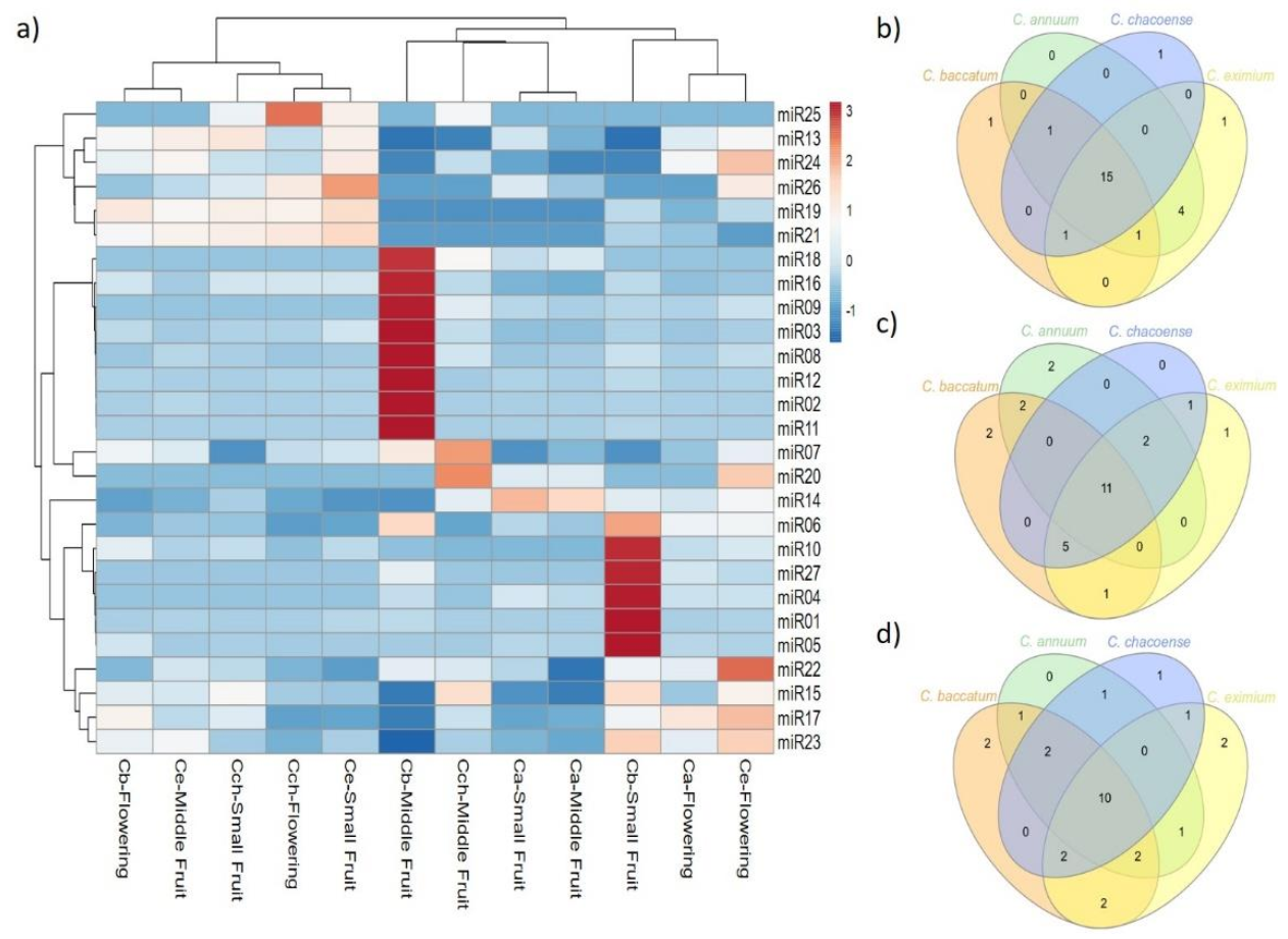 Ijms 22 04866 g005 Ijms 22 04866 g005
