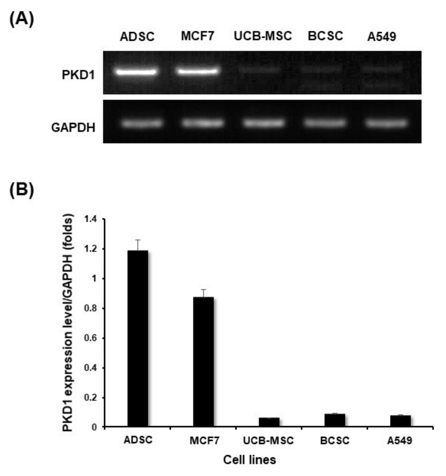 Ijms 22 04868 g001 Ijms 22 04868 g001