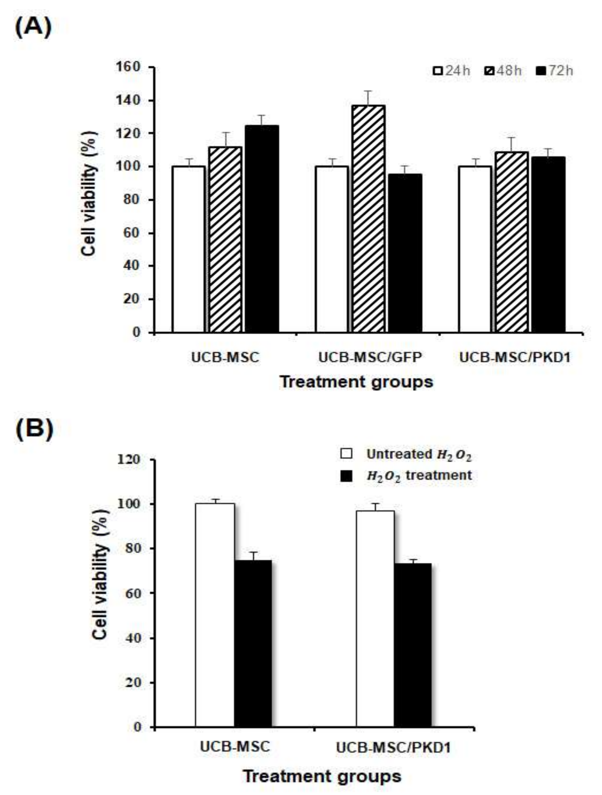 Ijms 22 04868 g003 Ijms 22 04868 g003