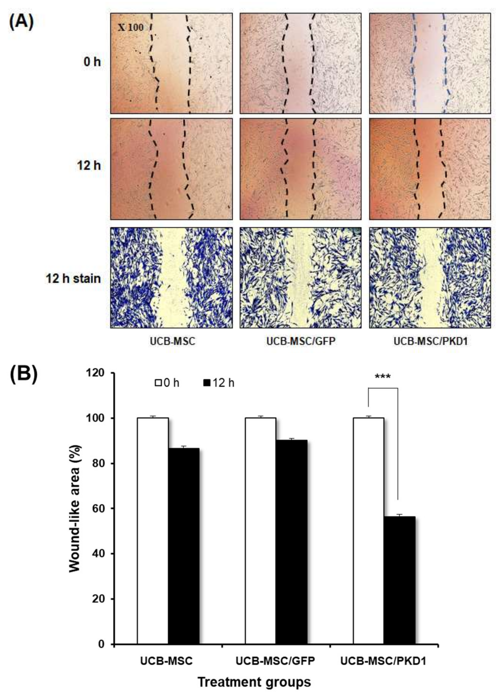 Ijms 22 04868 g004 Ijms 22 04868 g004