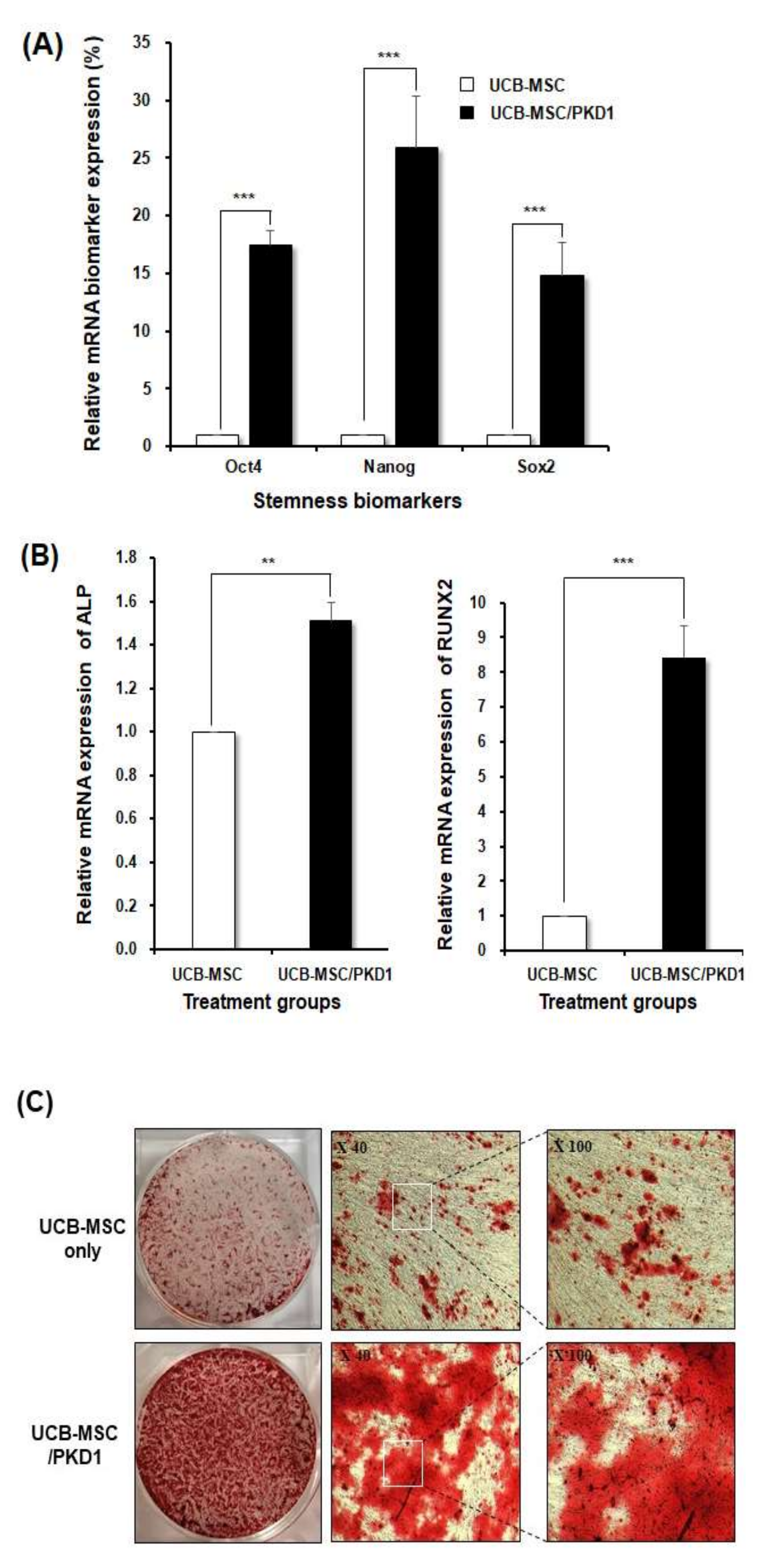 Ijms 22 04868 g005 Ijms 22 04868 g005