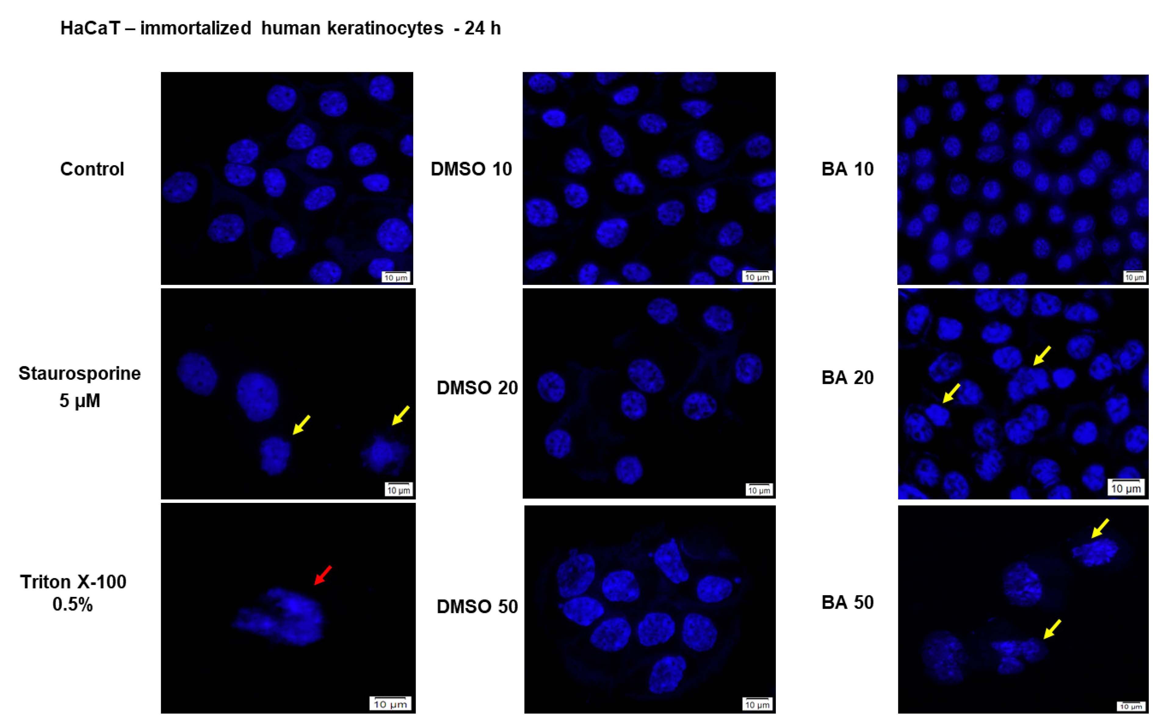 Ijms 22 04870 g002 Ijms 22 04870 g002