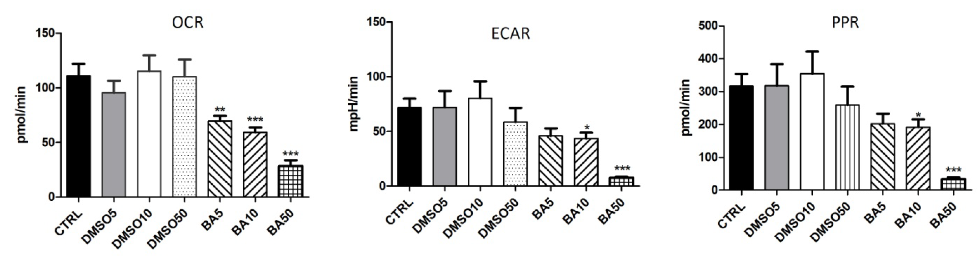 Ijms 22 04870 g010 Ijms 22 04870 g010