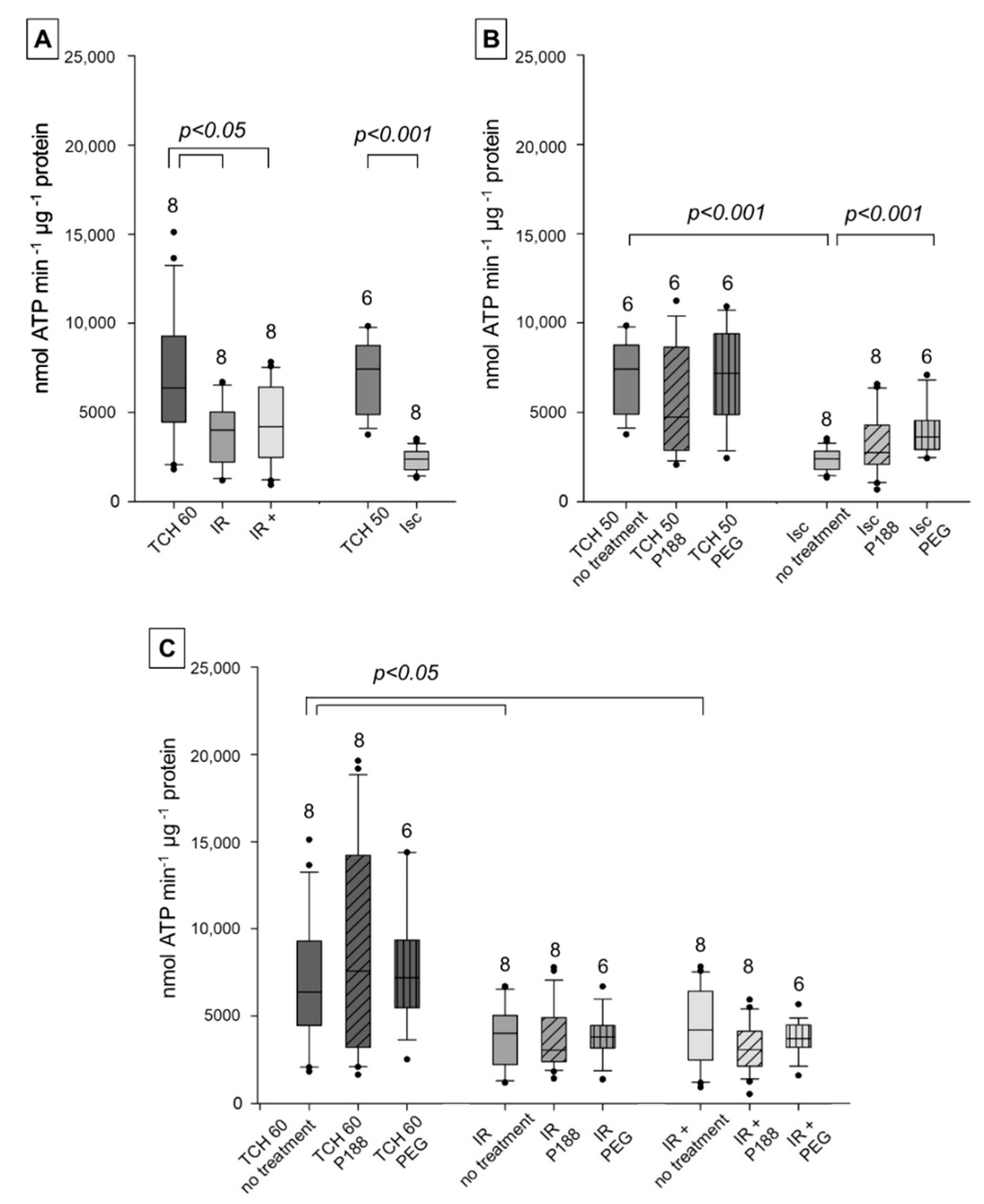 Ijms 22 04879 g002 Ijms 22 04879 g002