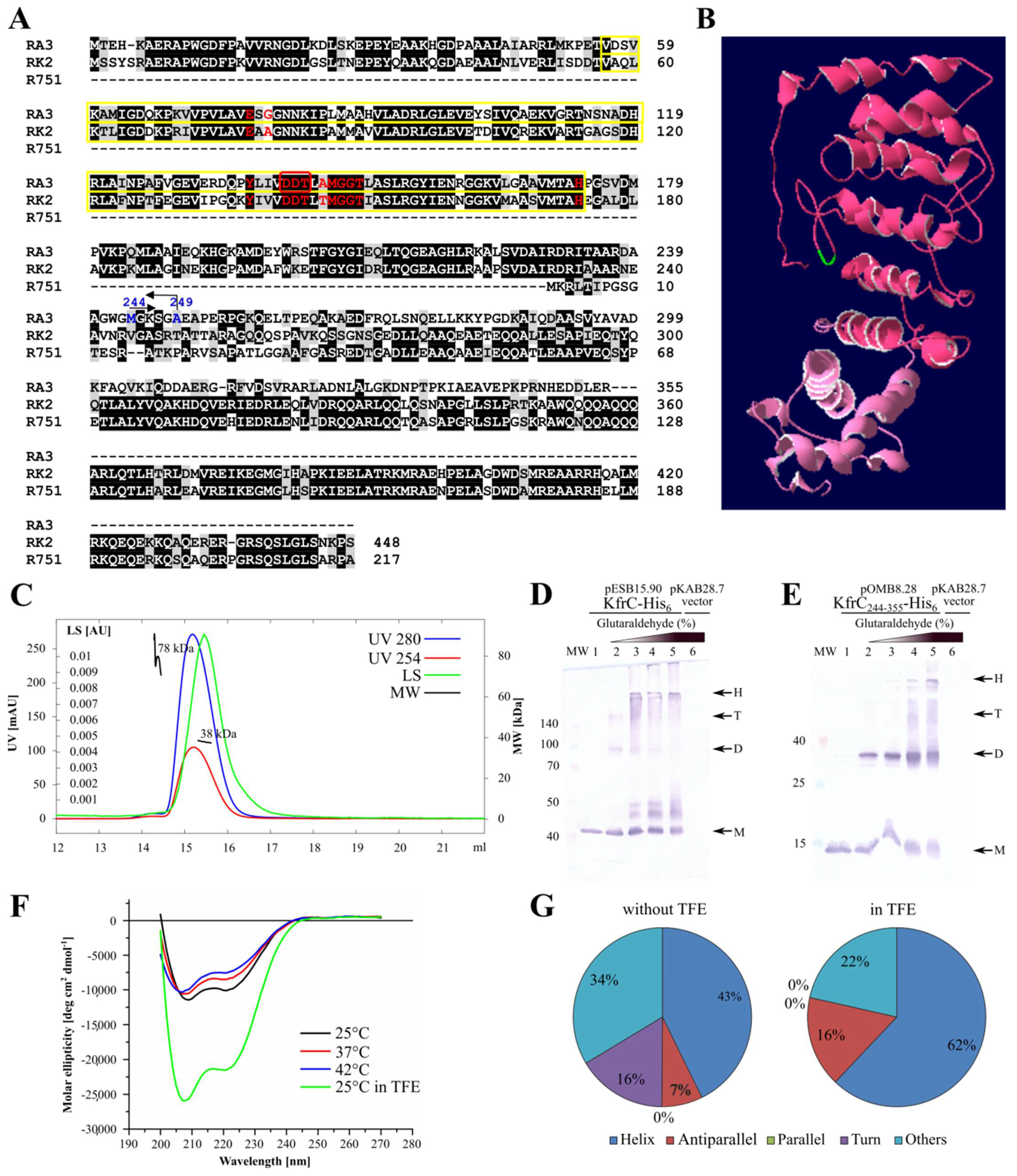 Ijms 22 04880 g003 Ijms 22 04880 g003