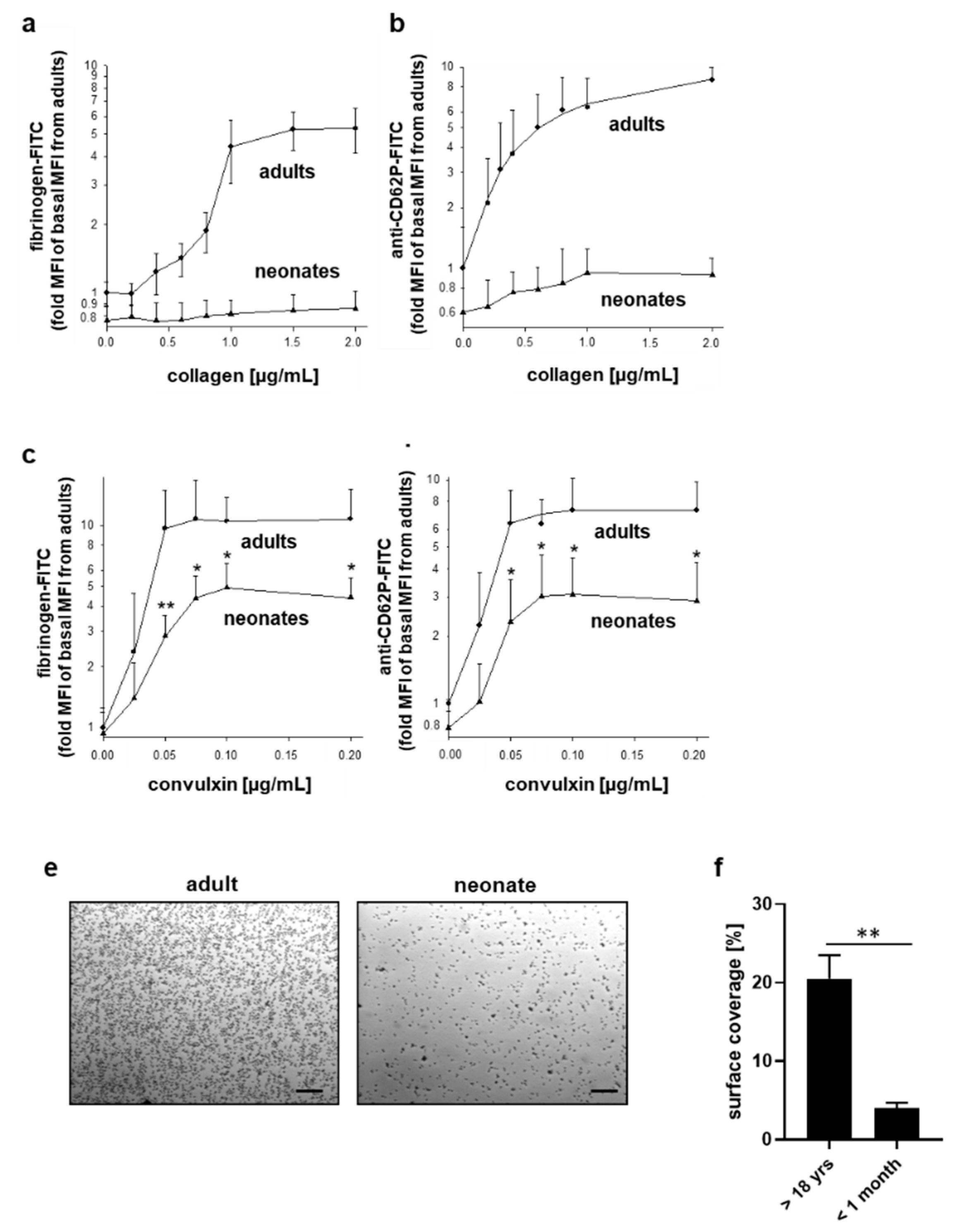 Ijms 22 04883 g004 Ijms 22 04883 g004