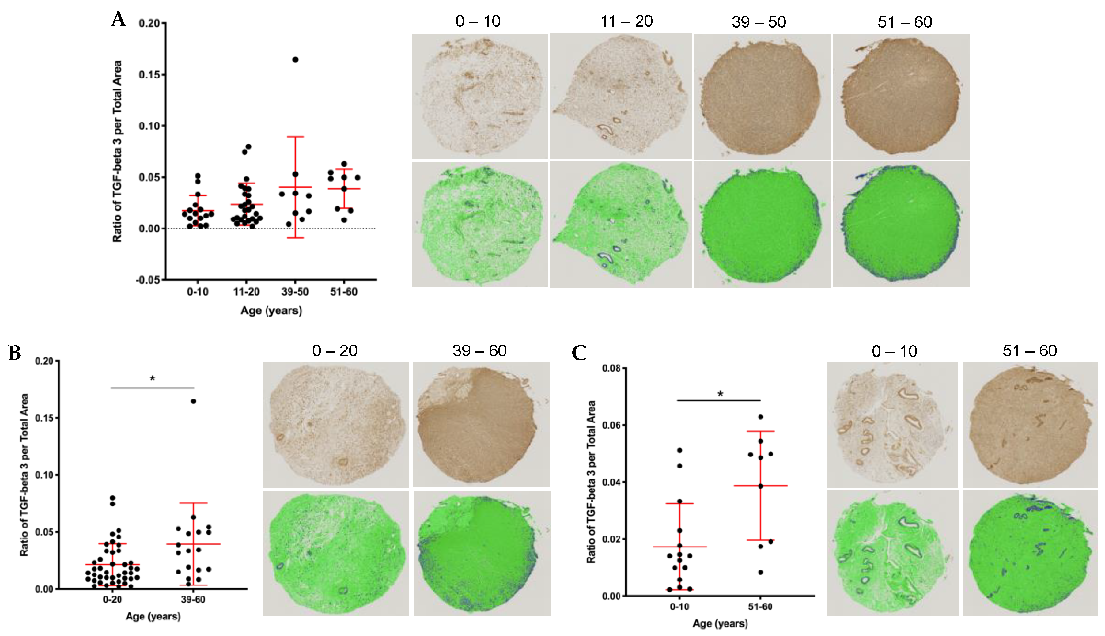 Ijms 22 04902 g006 Ijms 22 04902 g006