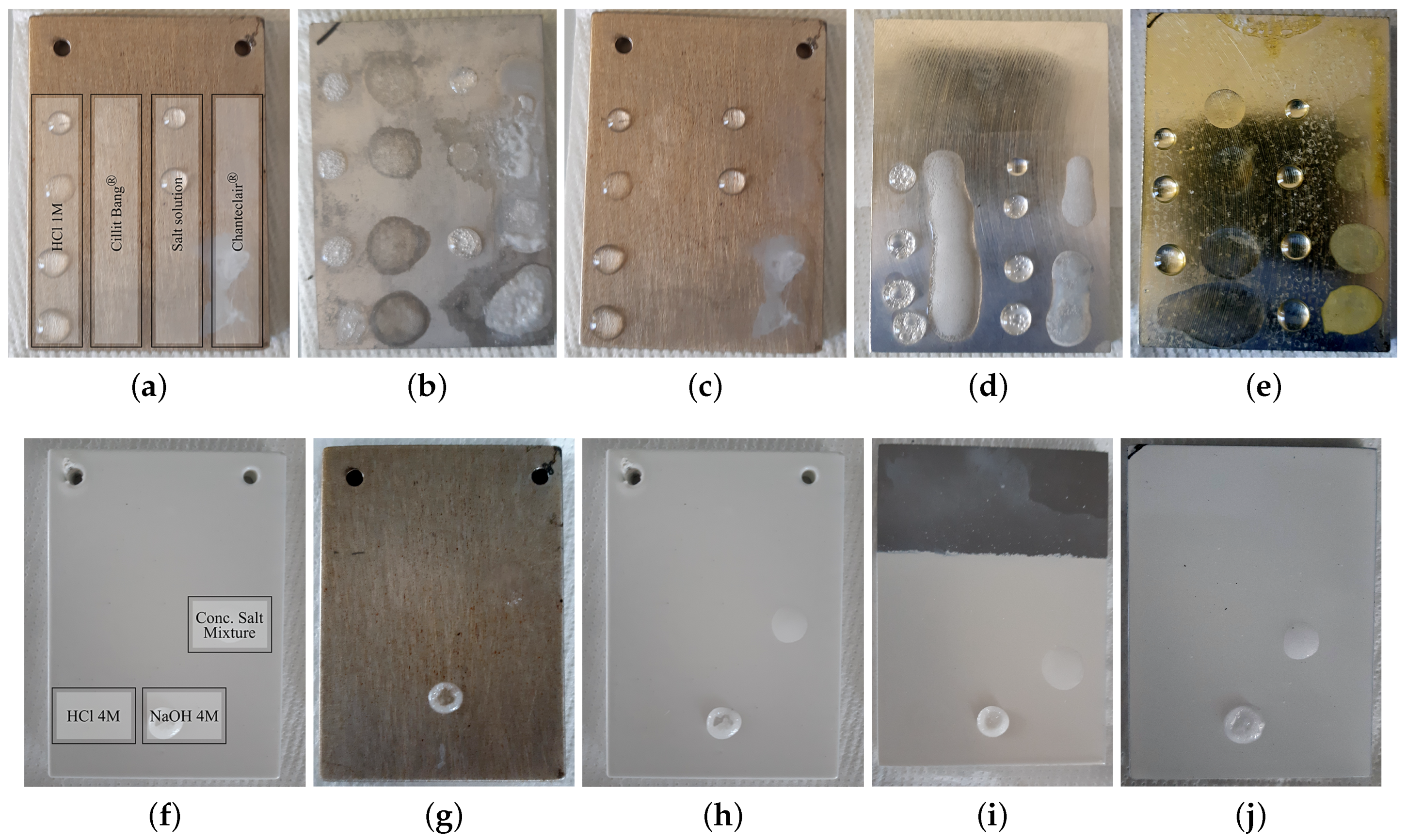 Ijms 22 04915 g002 Ijms 22 04915 g002