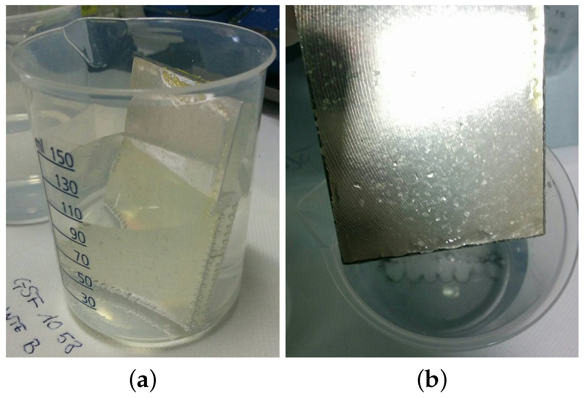 Ijms 22 04915 g006 Ijms 22 04915 g006