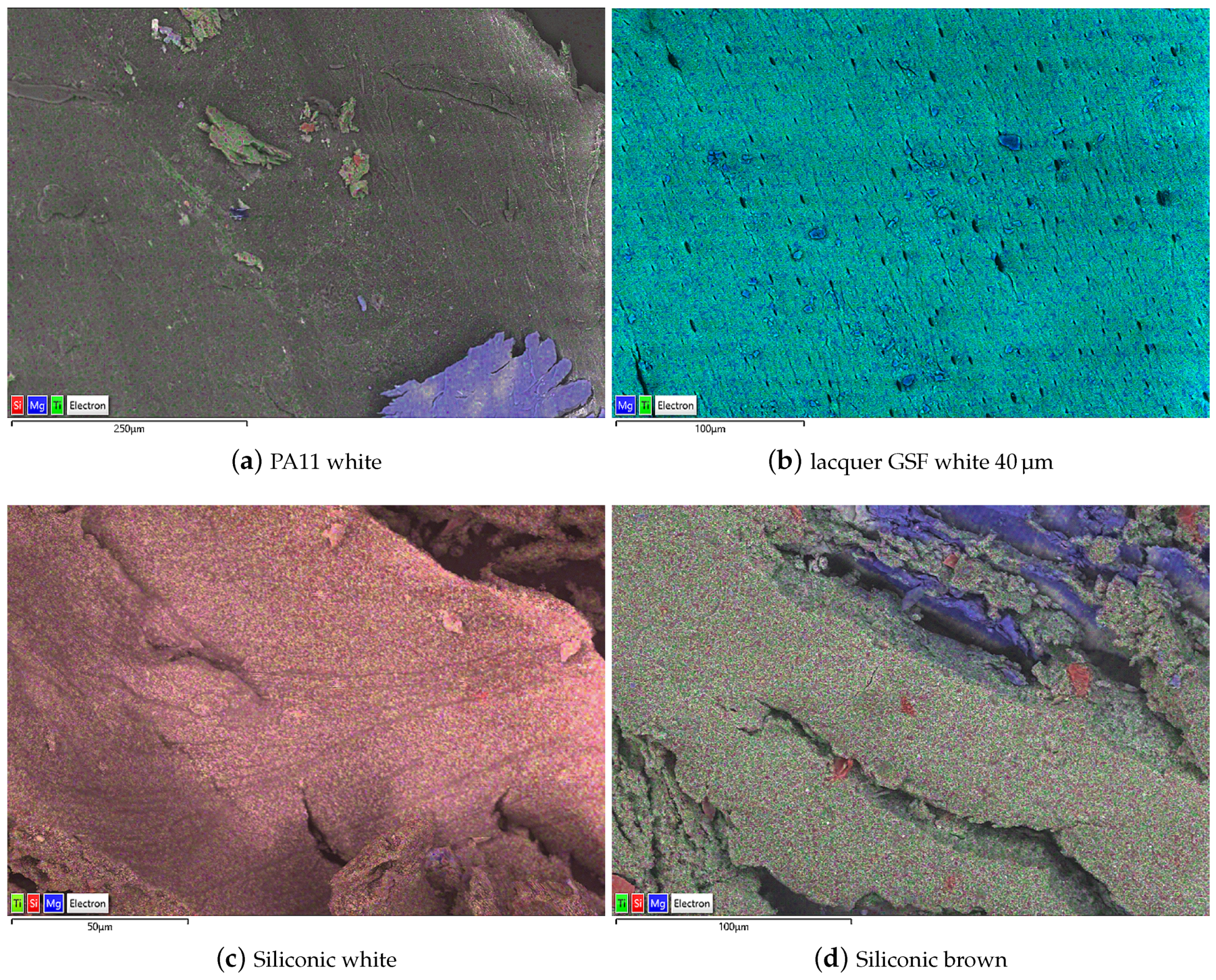 Ijms 22 04915 g008 Ijms 22 04915 g008