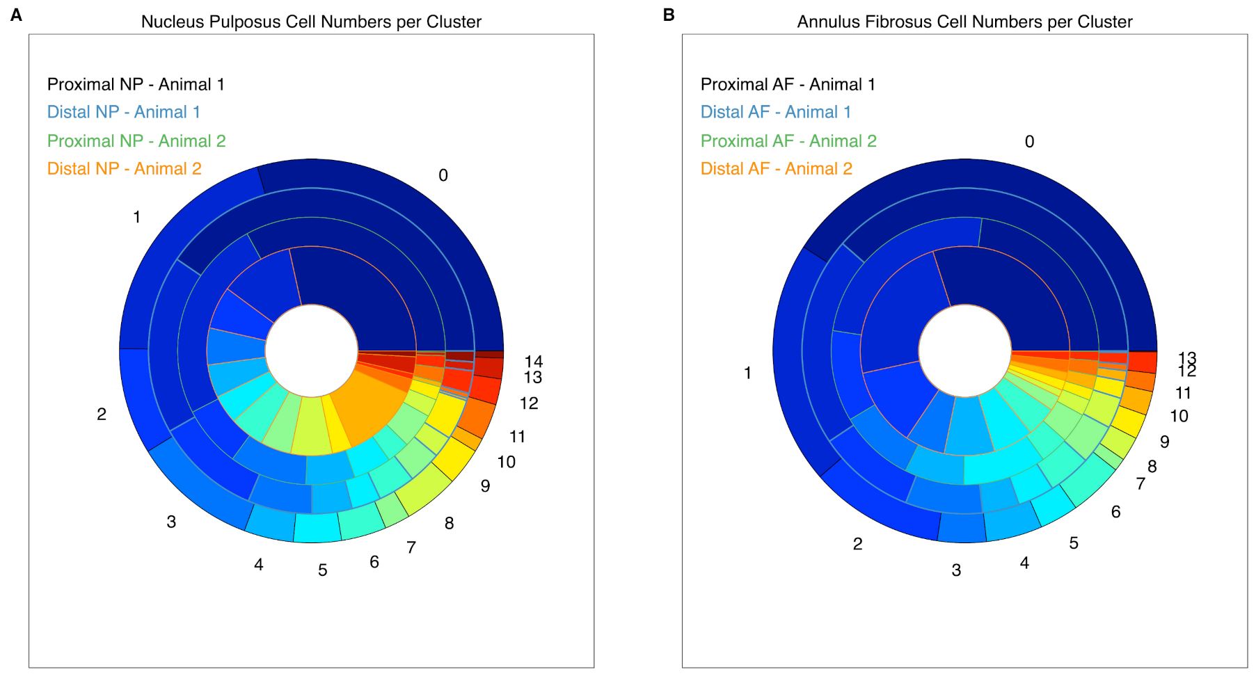 Ijms Free Full Text The Cellular Composition Of Bovine Coccygeal Intervertebral Discs A Comprehensive Single Cell Rnaseq Analysis Html