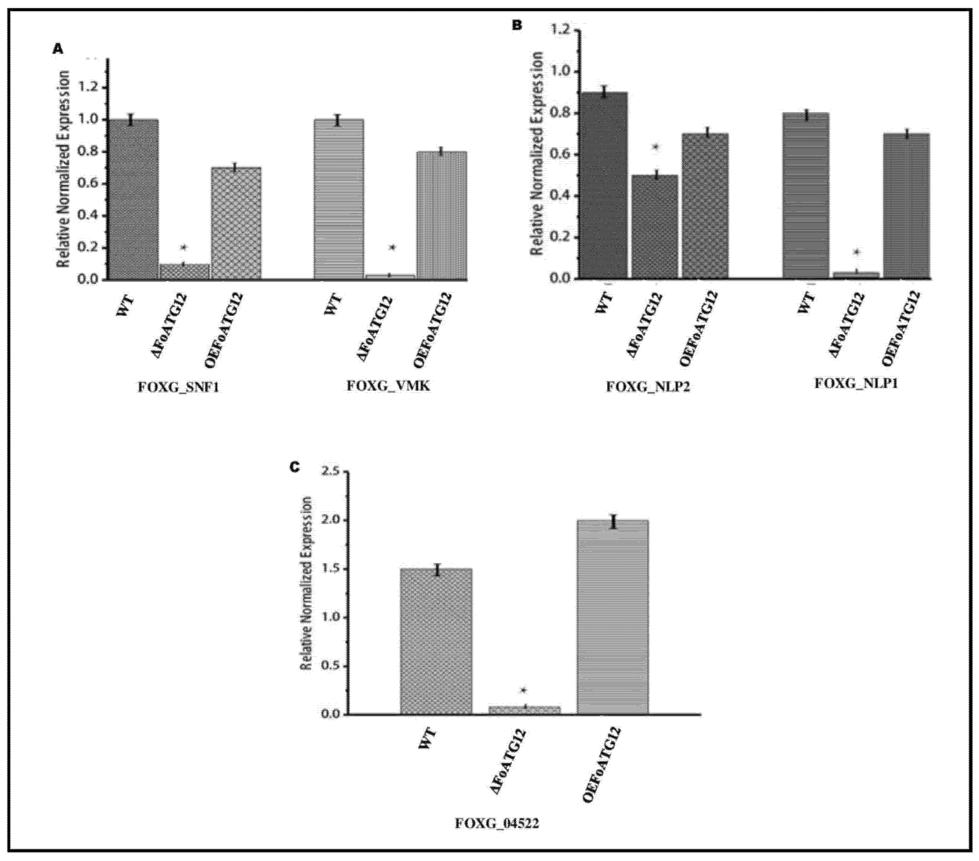 Ijms 22 04932 g006 Ijms 22 04932 g006