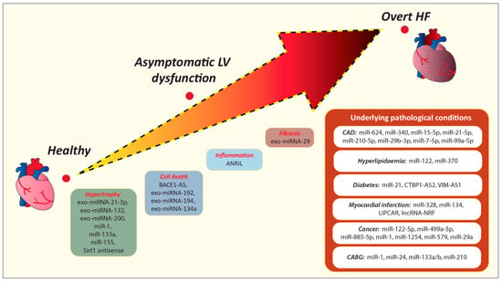 Asymptomatic Left Ventricle Systolic Dysfunction