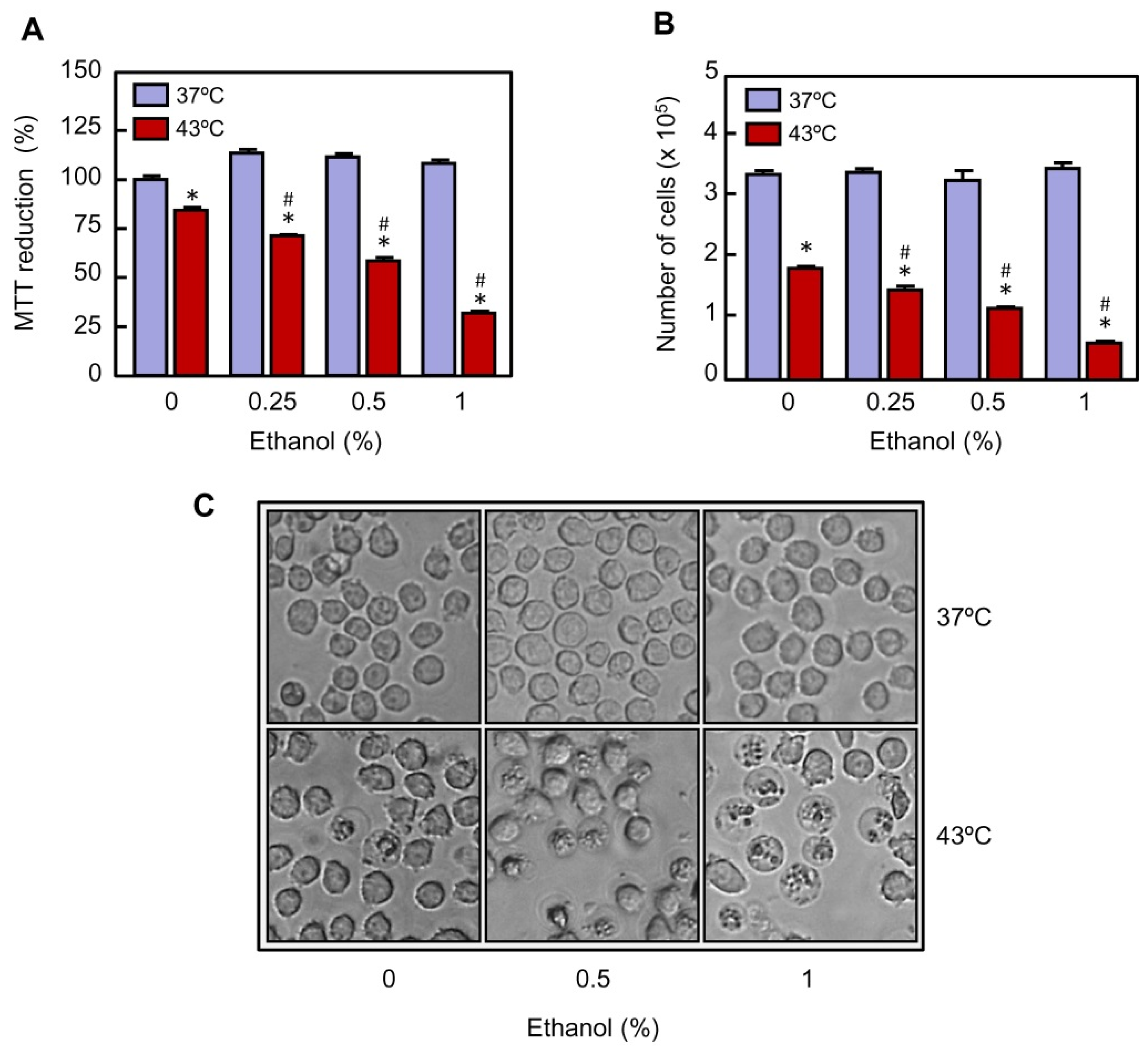 Cytotoxicity of BAL1 (Left) and cell survival rate after UVA damage