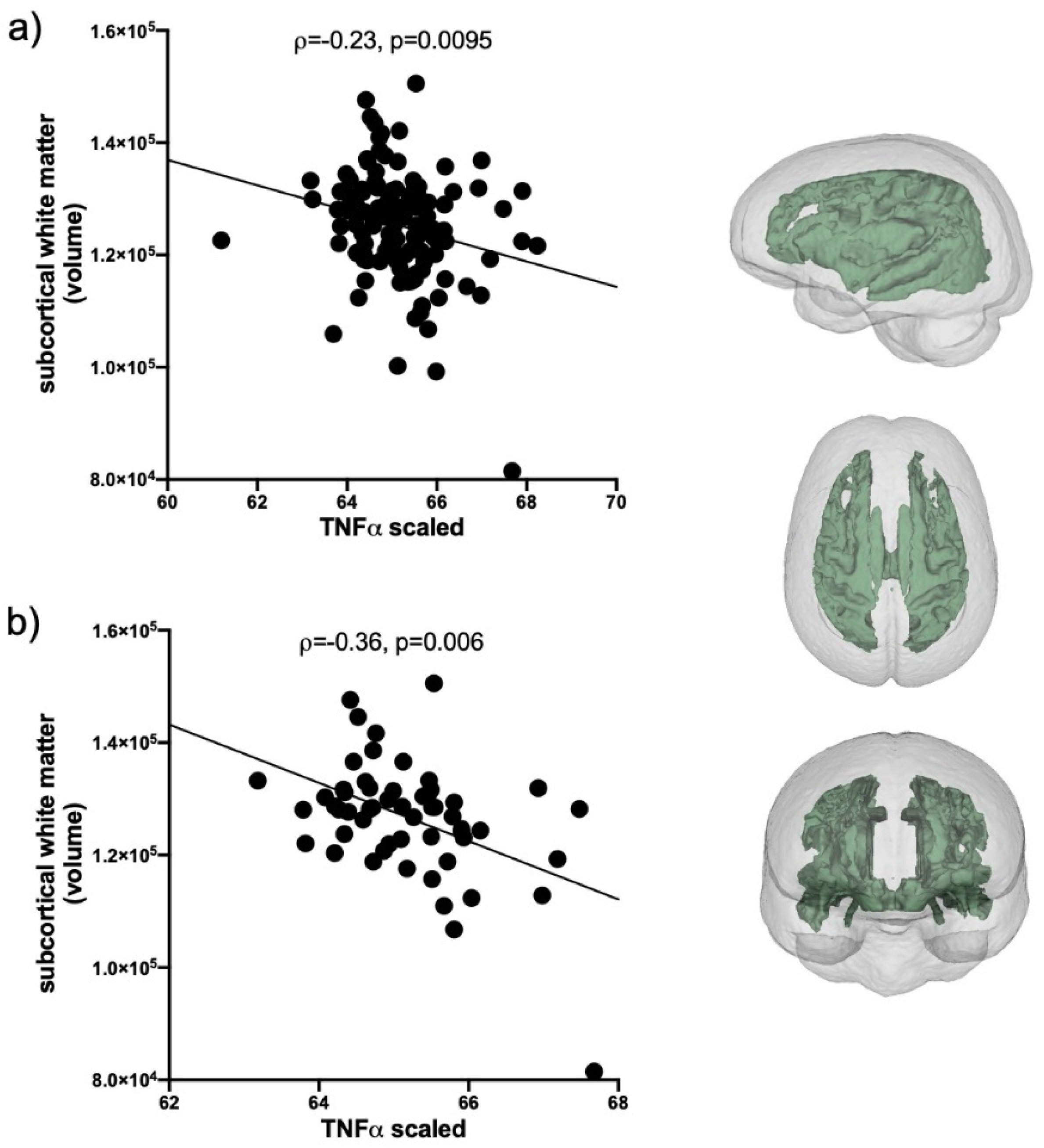 IJMS | Free Full-Text | Preliminary Evidence for a Relationship between  Elevated Plasma TNFα and Smaller Subcortical White Matter Volume in HCV  Infection Irrespective of HIV or AUD Comorbidity