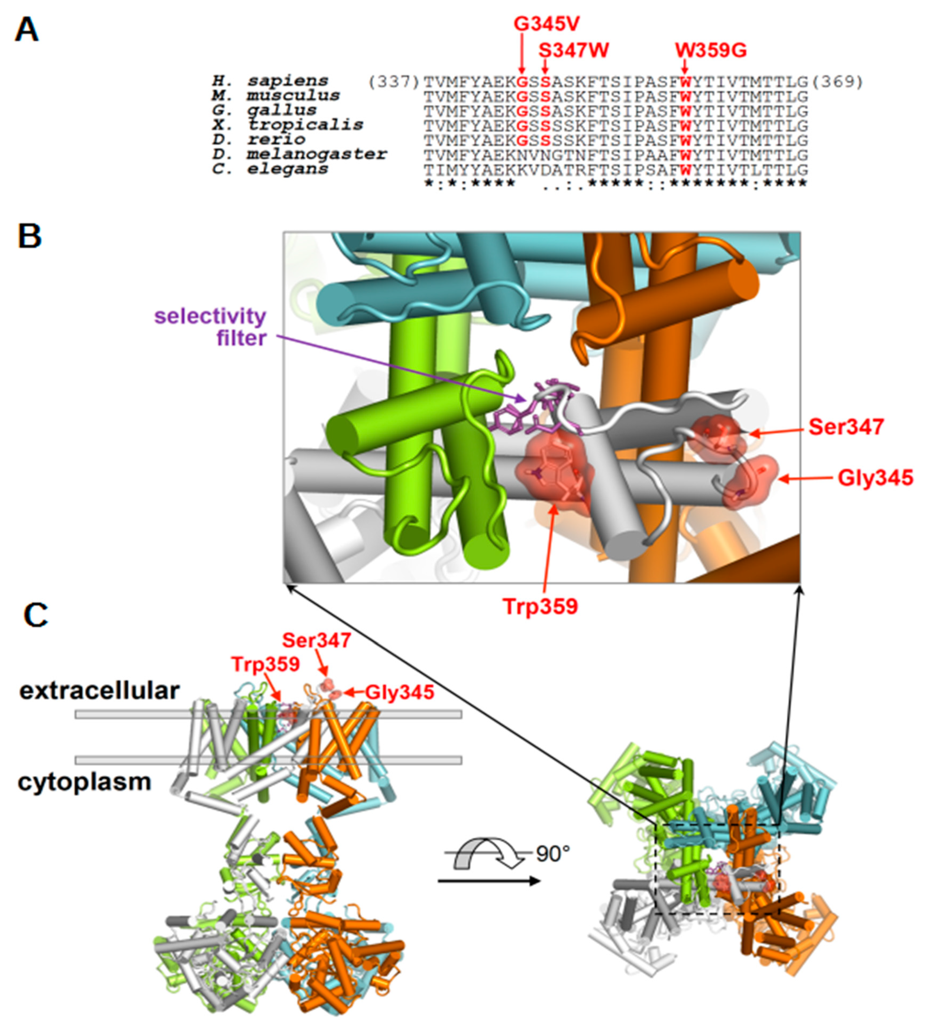 Ijms 22 04986 g002 Ijms 22 04986 g002