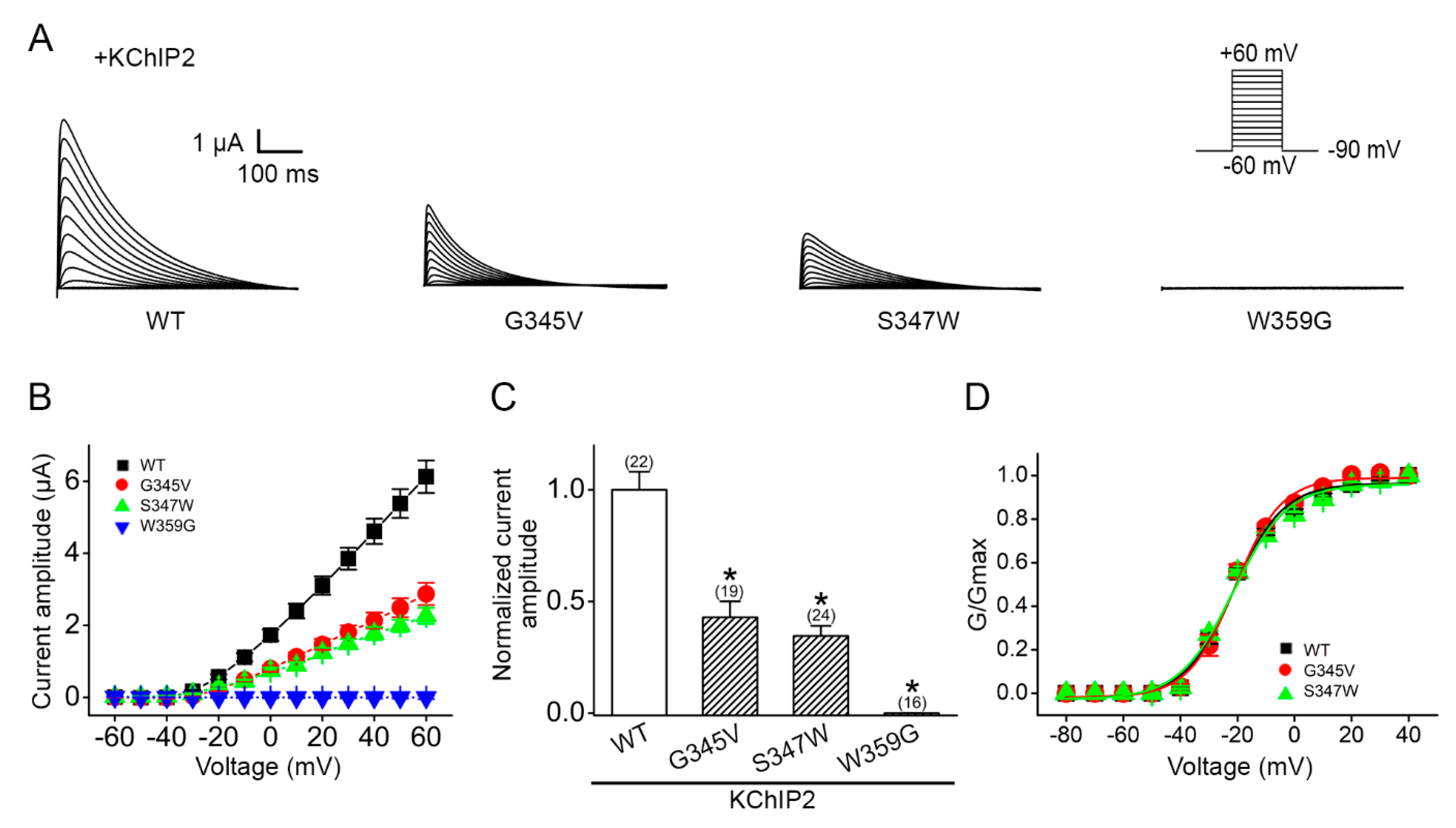 Ijms 22 04986 g003 Ijms 22 04986 g003