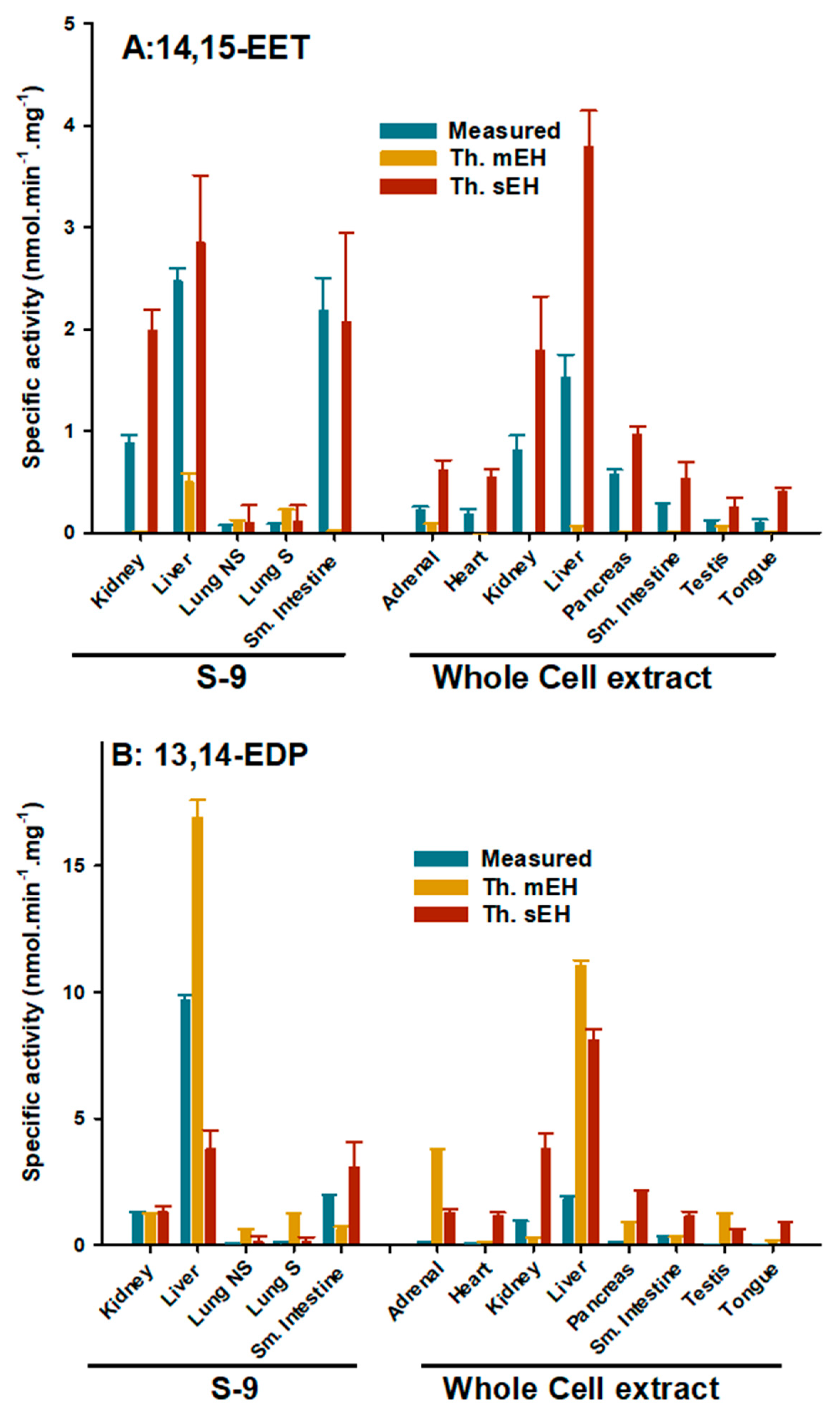 Ijms 22 04993 g002 Ijms 22 04993 g002
