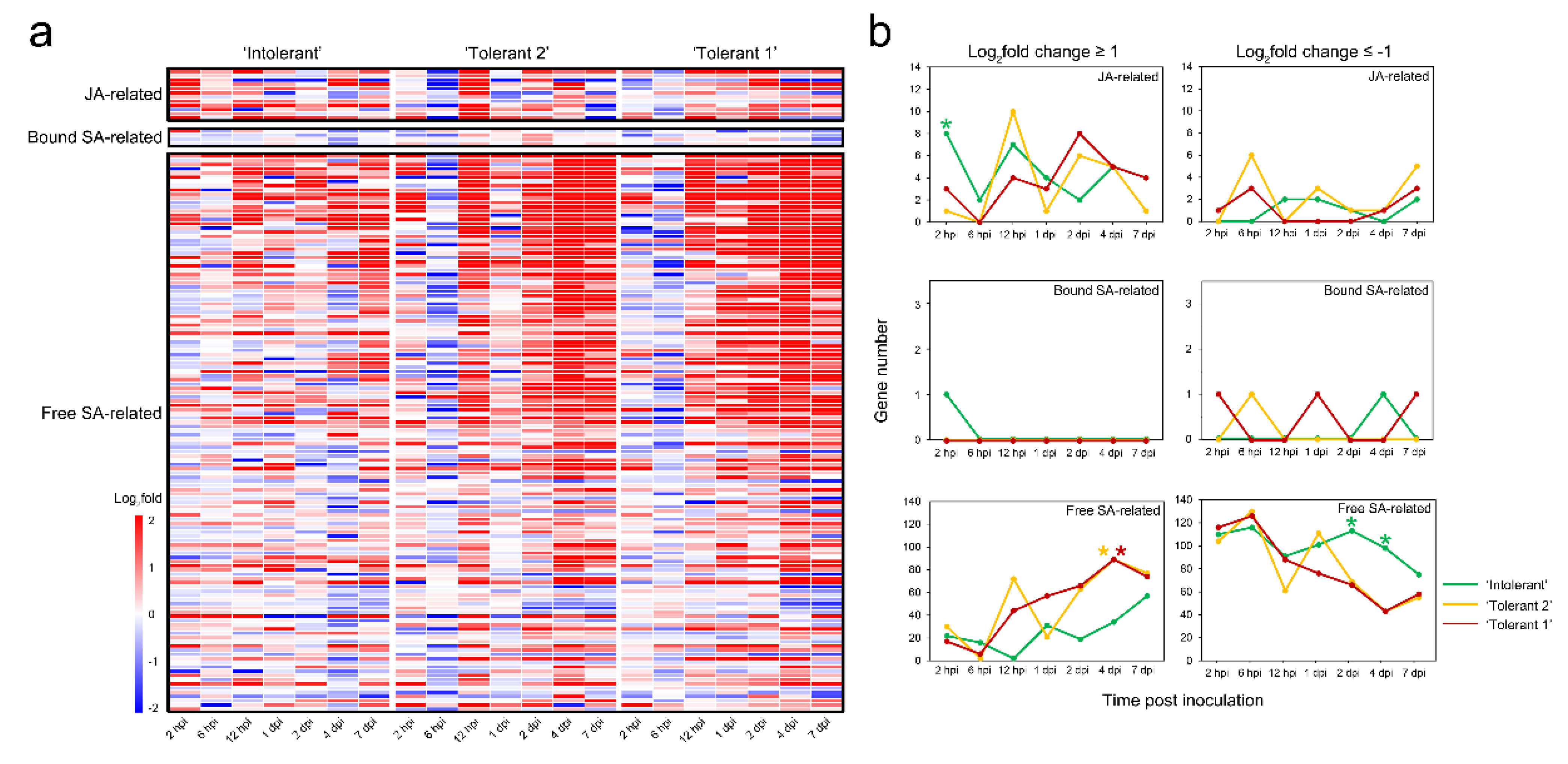 Ijms 22 05001 g004 Ijms 22 05001 g004
