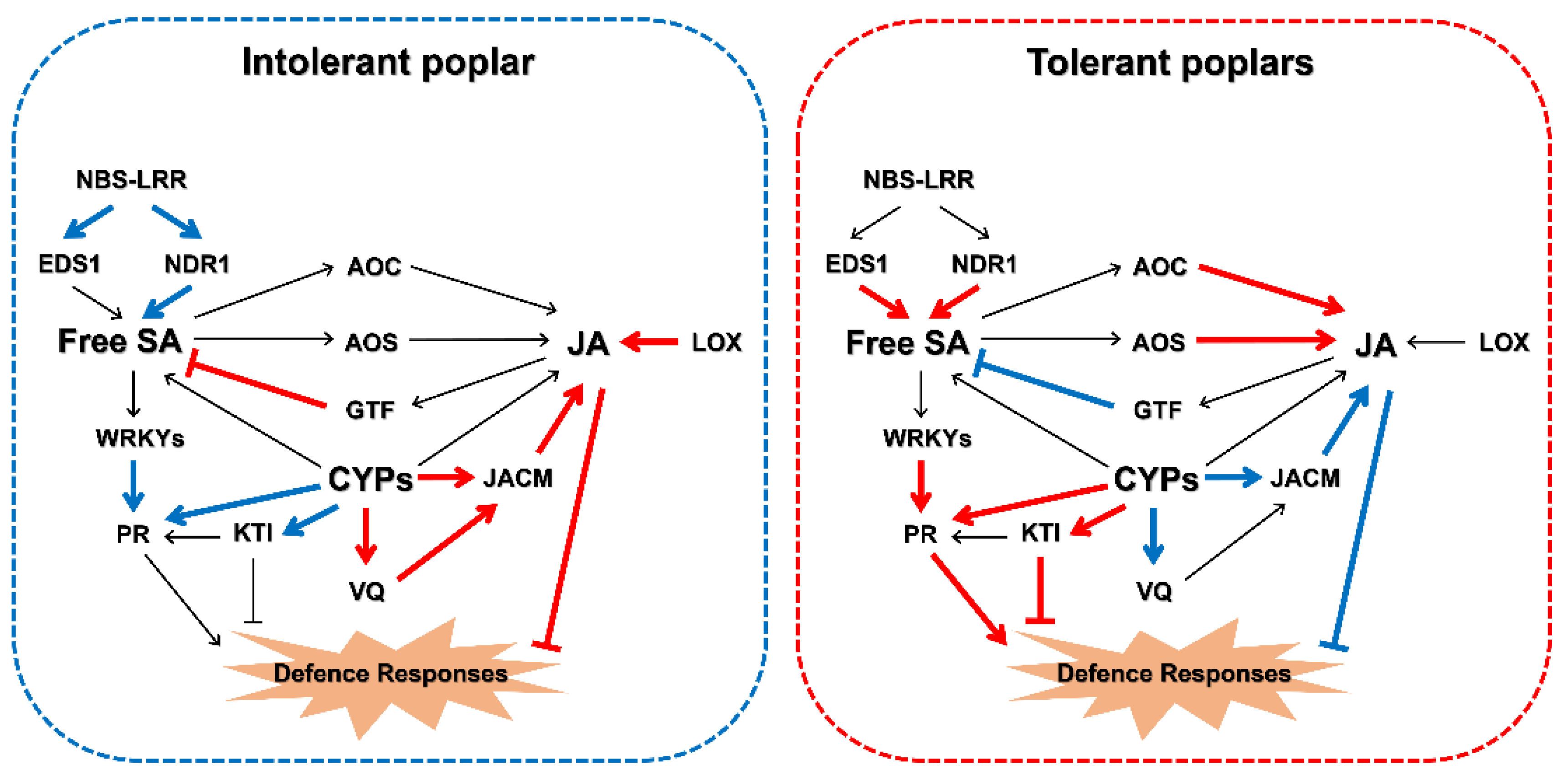 Ijms 22 05001 g007 Ijms 22 05001 g007