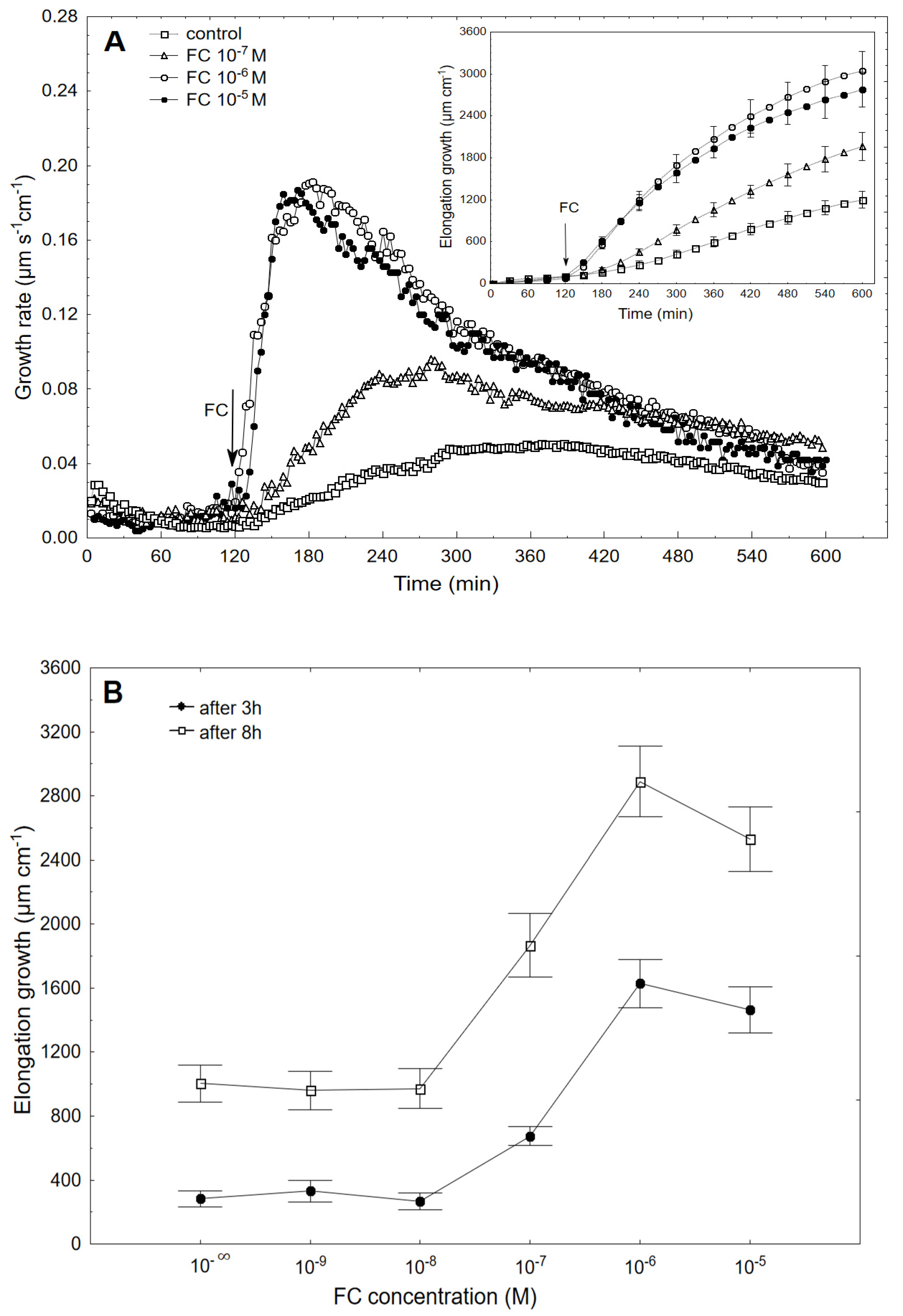 Ijms 22 05017 g001 Ijms 22 05017 g001