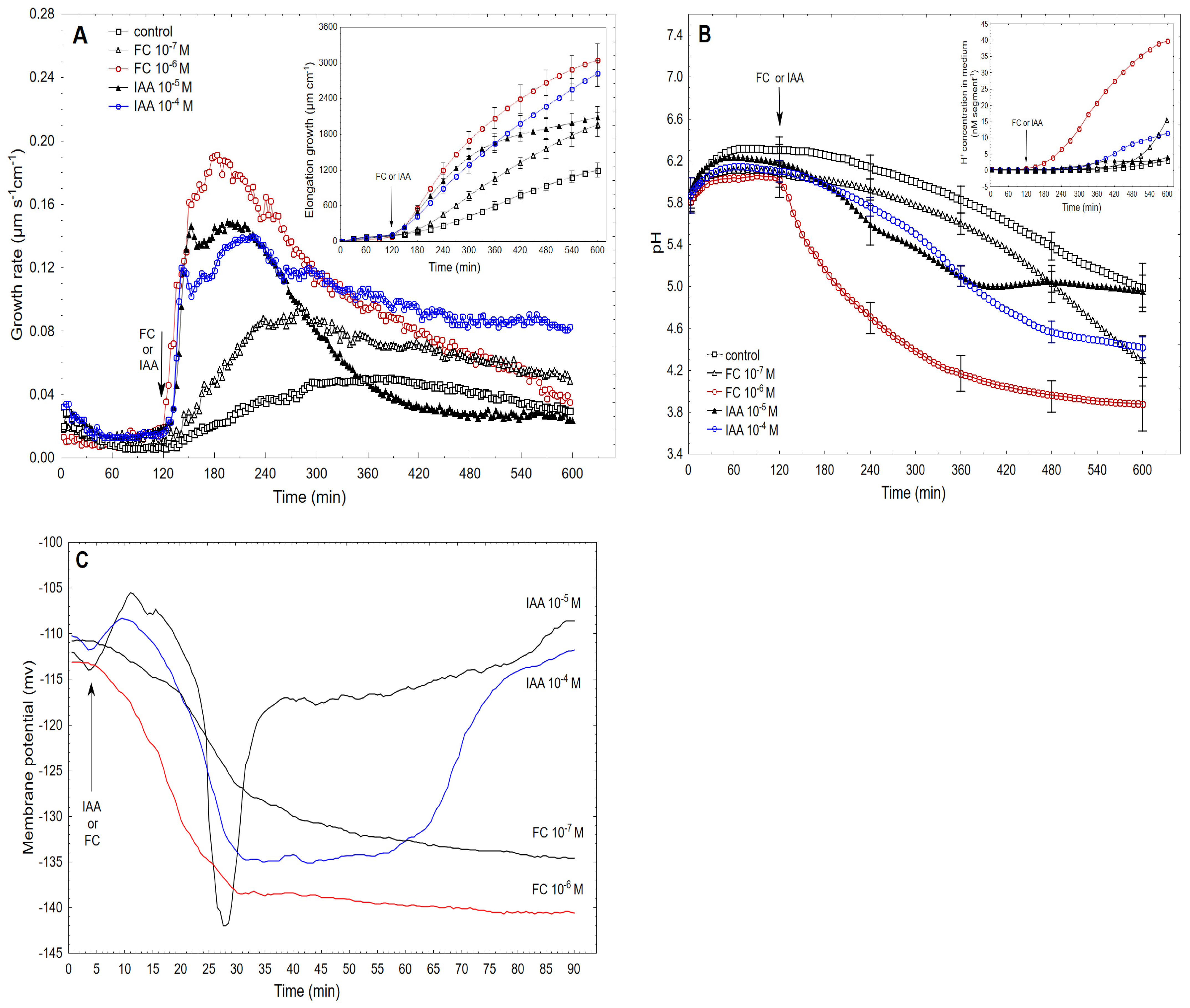 Ijms 22 05017 g003 Ijms 22 05017 g003