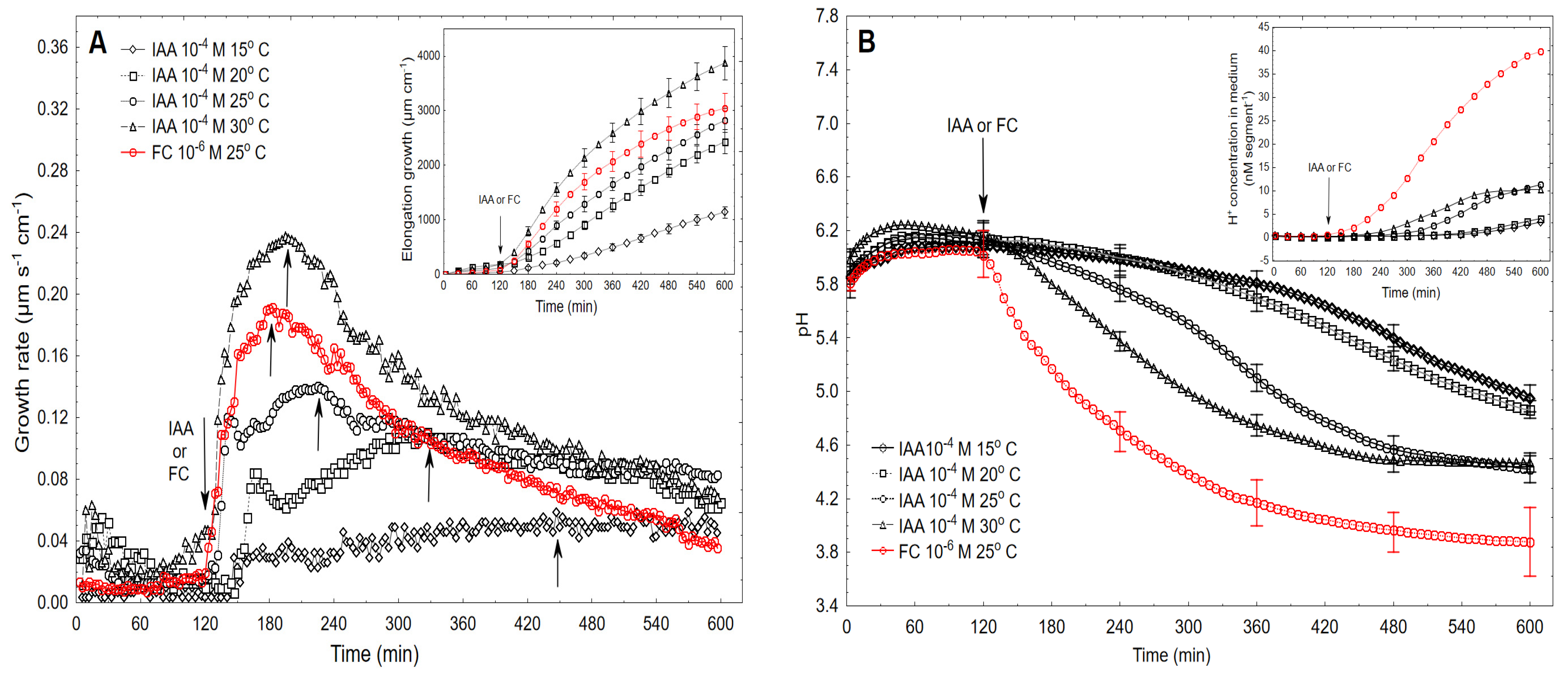 Ijms 22 05017 g004 Ijms 22 05017 g004