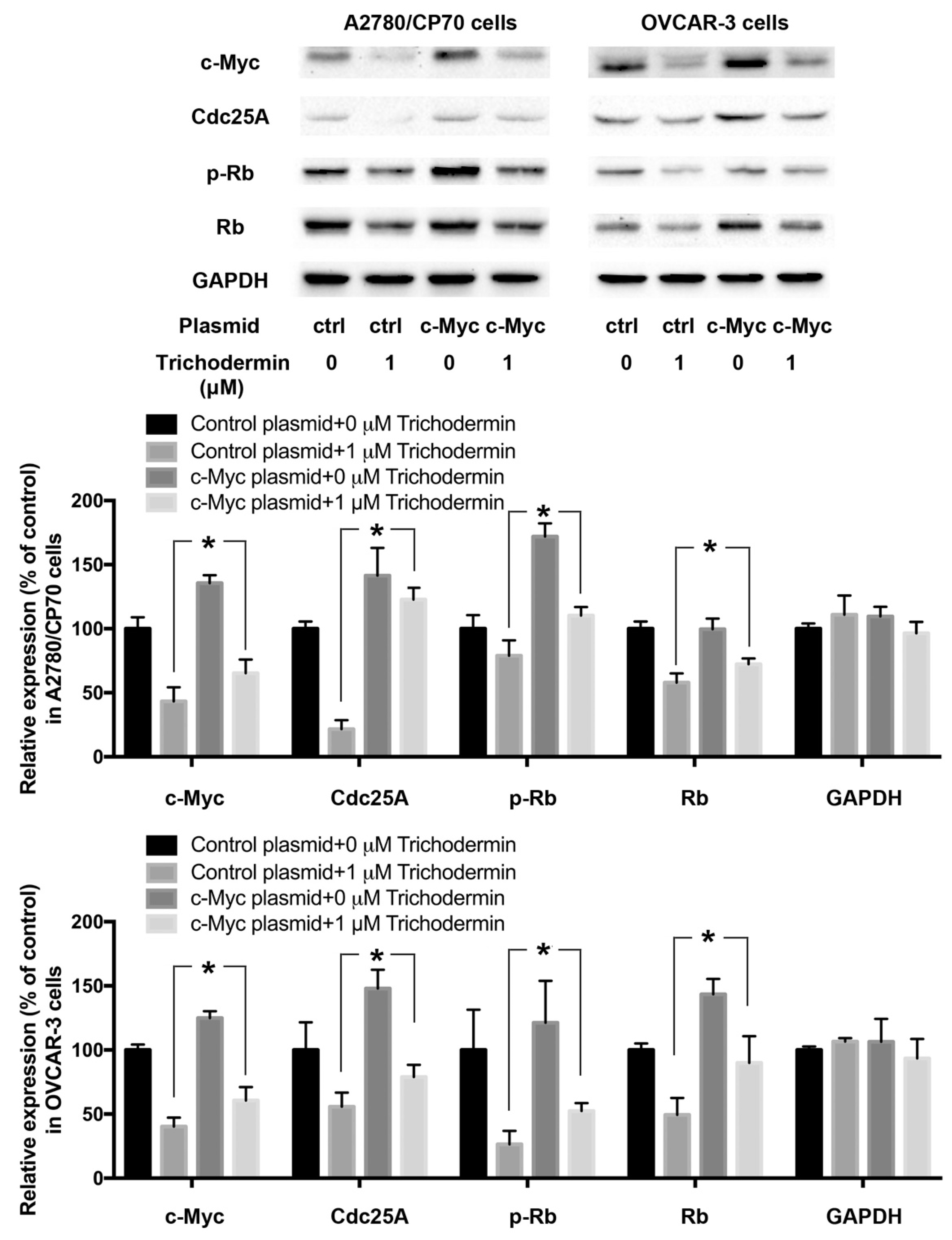 Ijms Free Full Text Trichodermin Induces G0 G1 Cell Cycle Arrest By Inhibiting C Myc In Ovarian Cancer Cells And Tumor Xenograft Bearing Mice Html