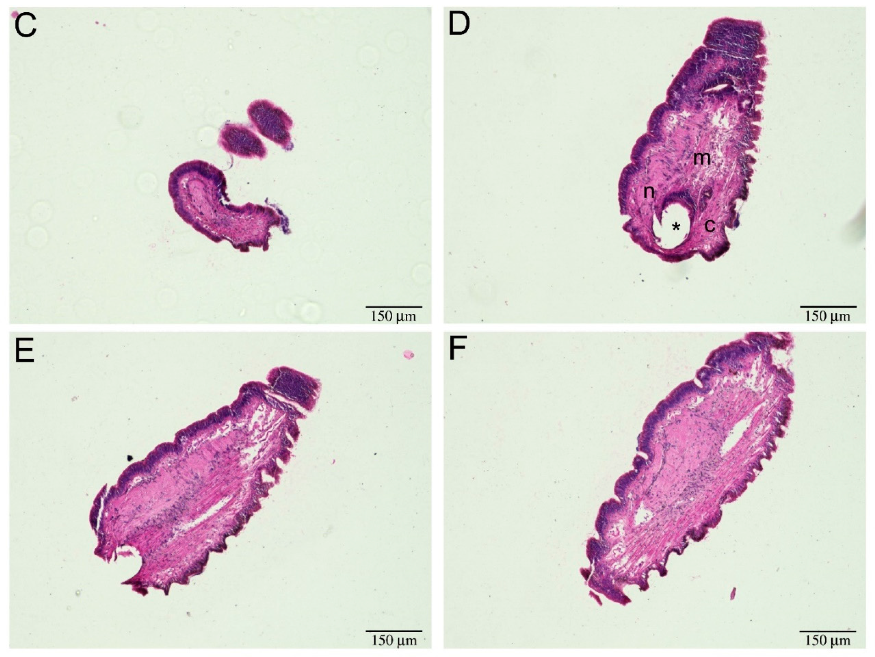 Ijms 22 05023 g002b Ijms 22 05023 g002b