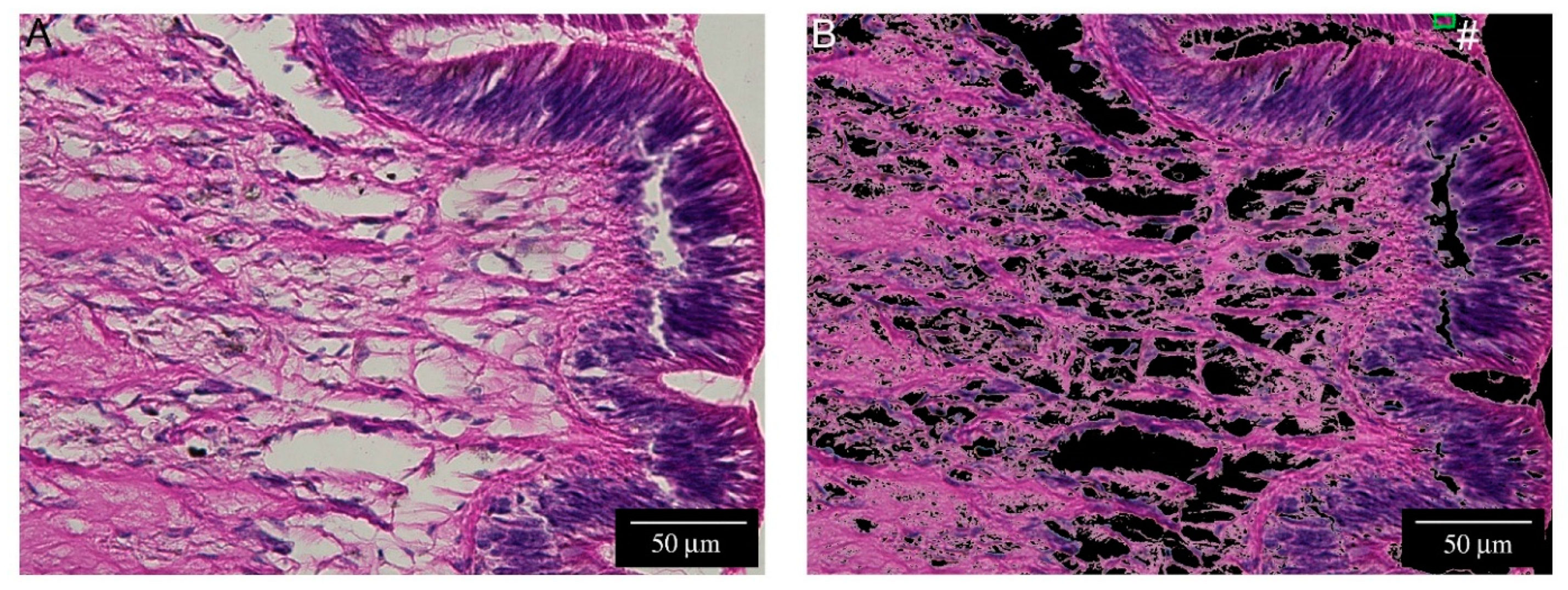 Ijms 22 05023 g008a Ijms 22 05023 g008a