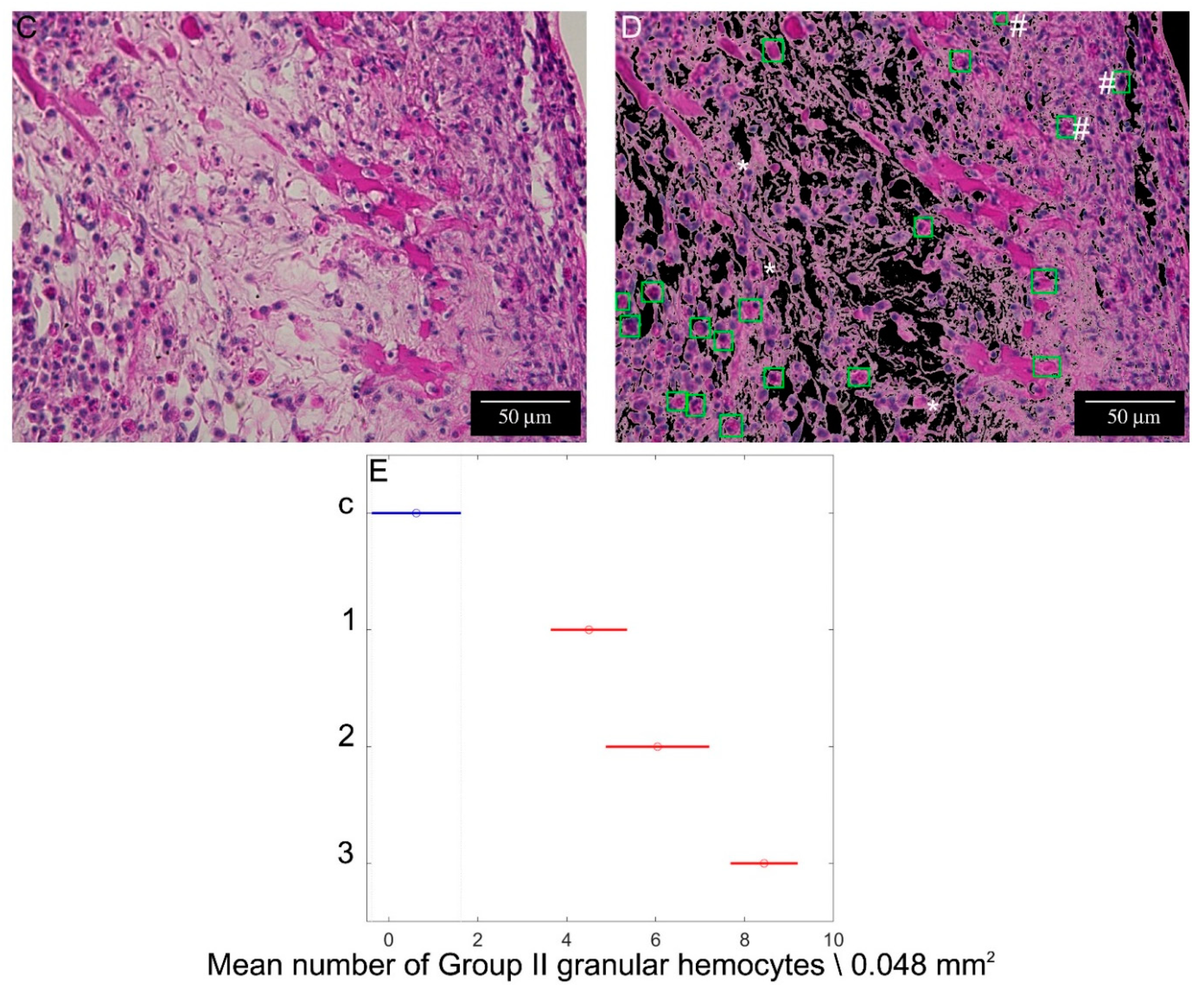 Ijms 22 05023 g008b Ijms 22 05023 g008b