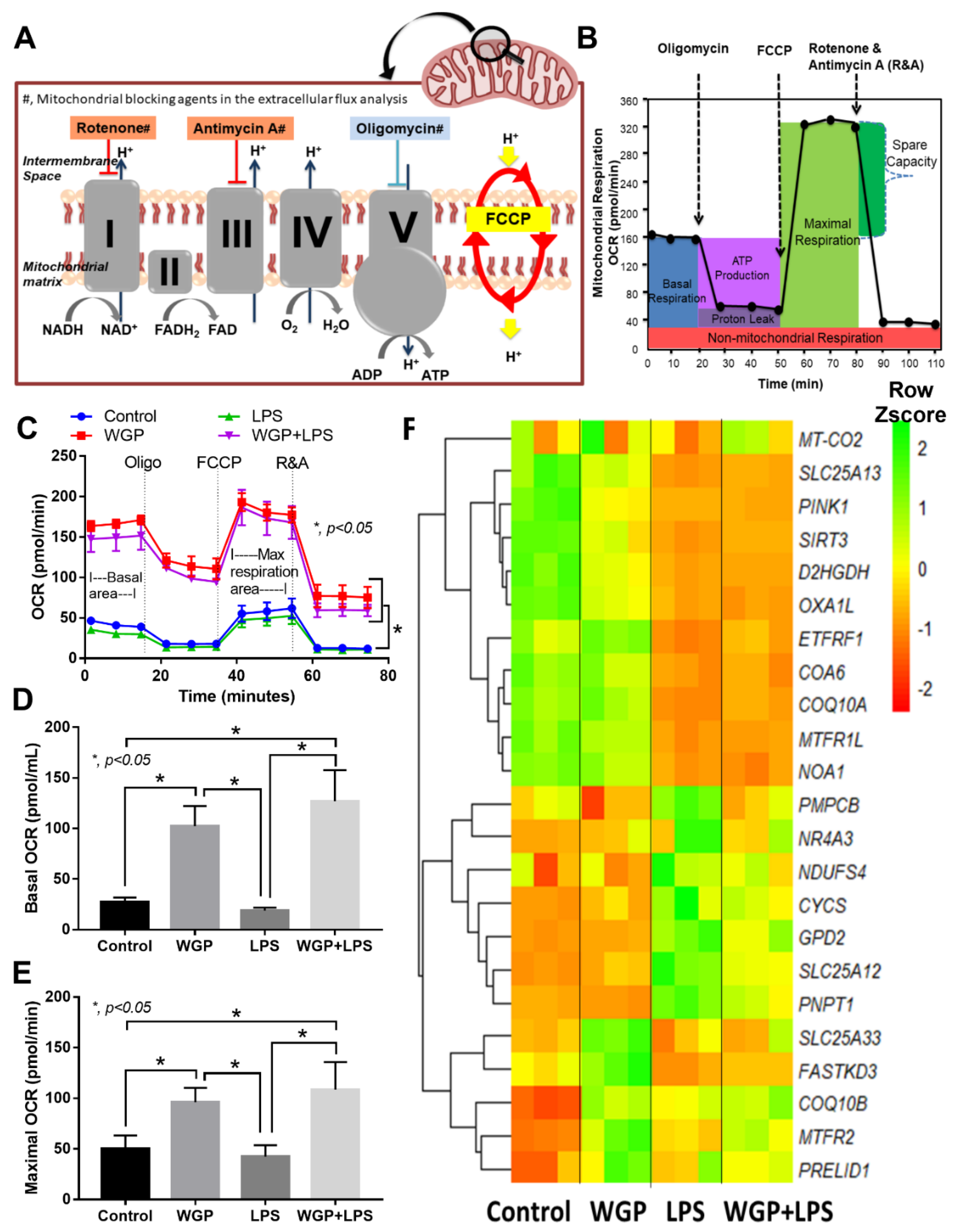 Ijms 22 05031 g004 Ijms 22 05031 g004