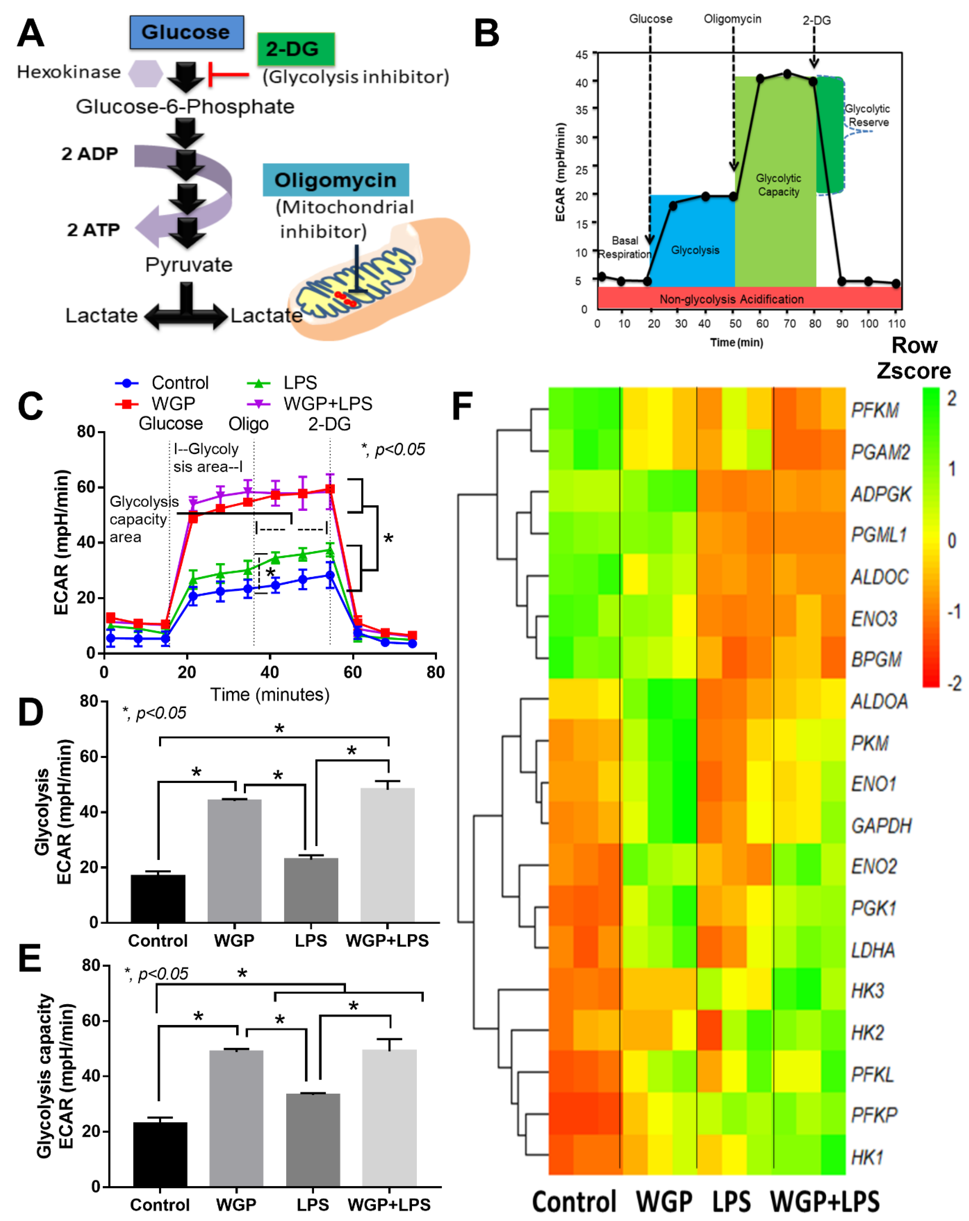 Ijms 22 05031 g005 Ijms 22 05031 g005