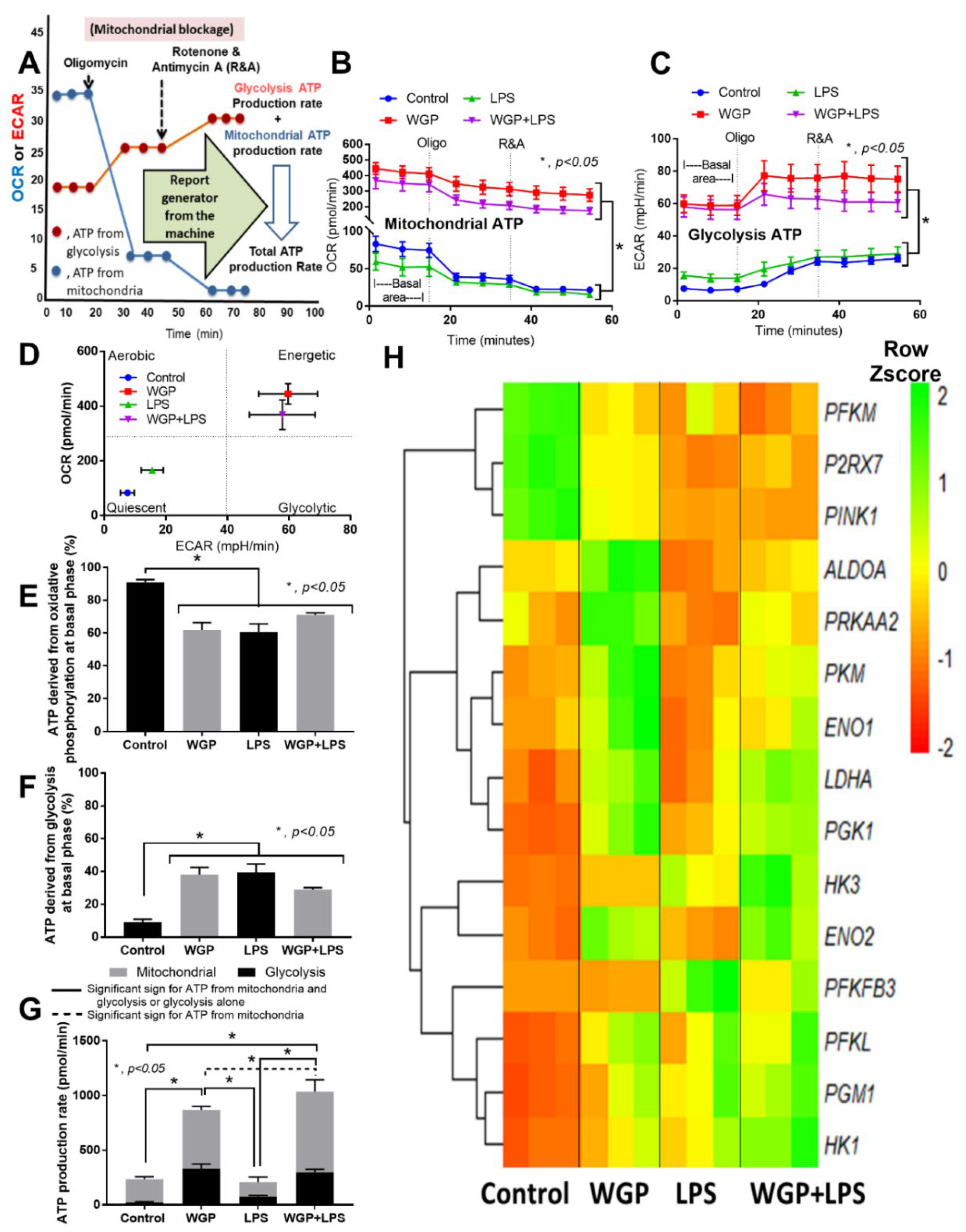 Ijms 22 05031 g006 Ijms 22 05031 g006