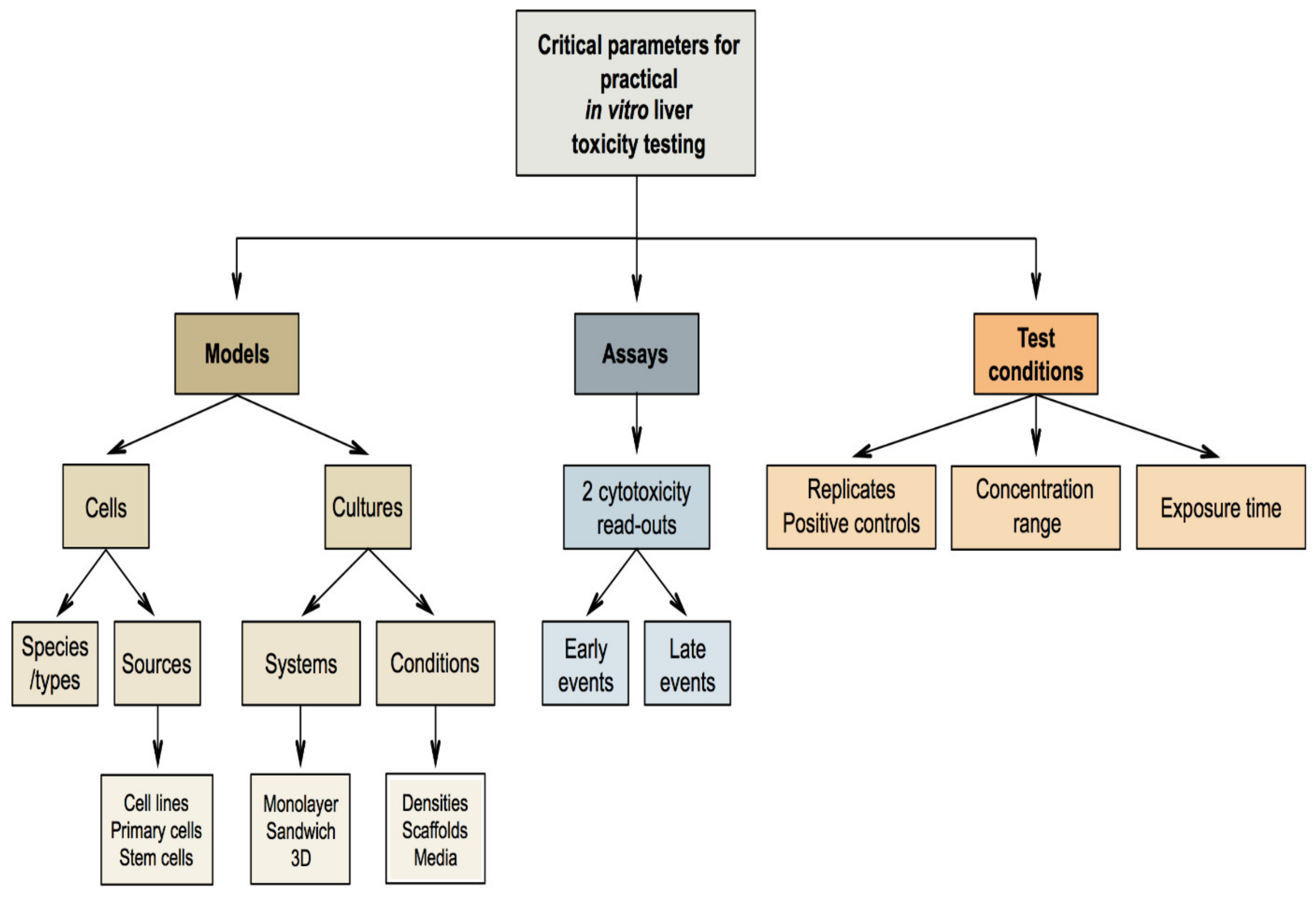 Ijms Free Full Text In Vitro Liver Toxicity Testing Of Chemicals A Pragmatic Approach Html