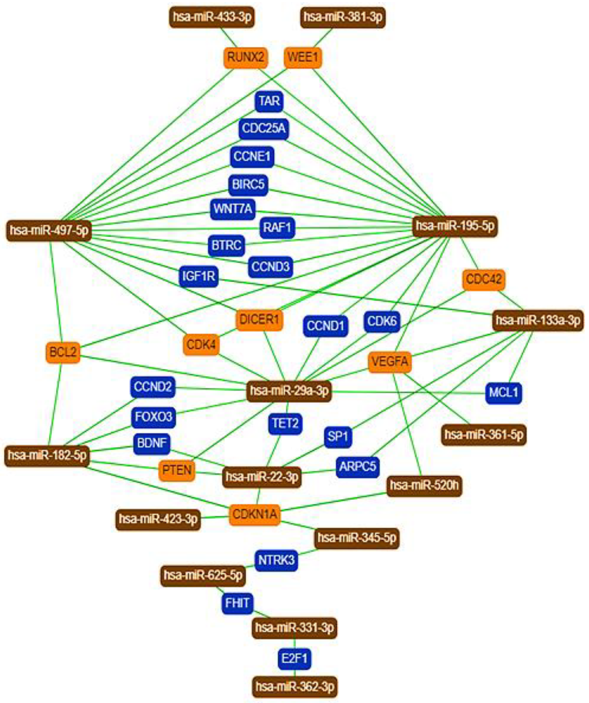 Ijms 22 05058 g003 Ijms 22 05058 g003