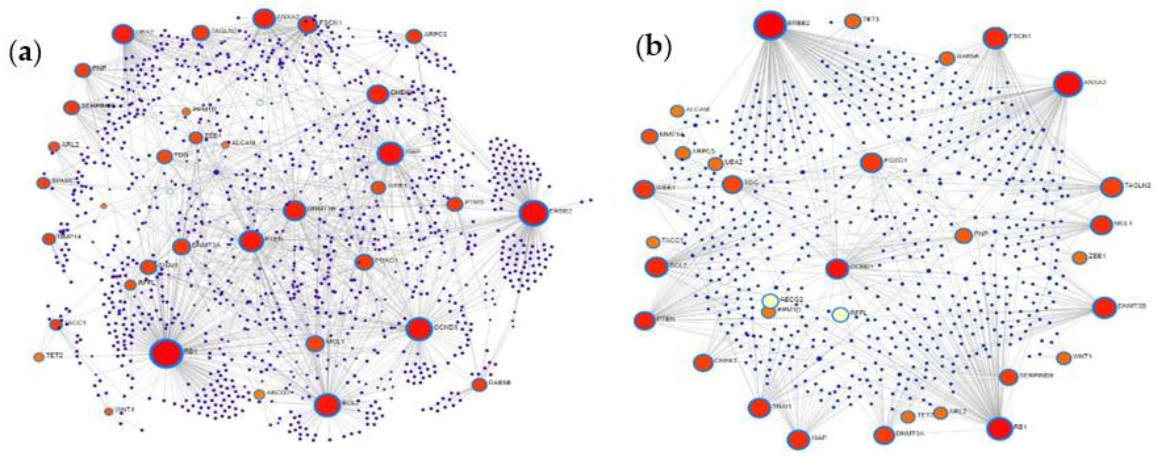 Ijms 22 05058 g007 Ijms 22 05058 g007