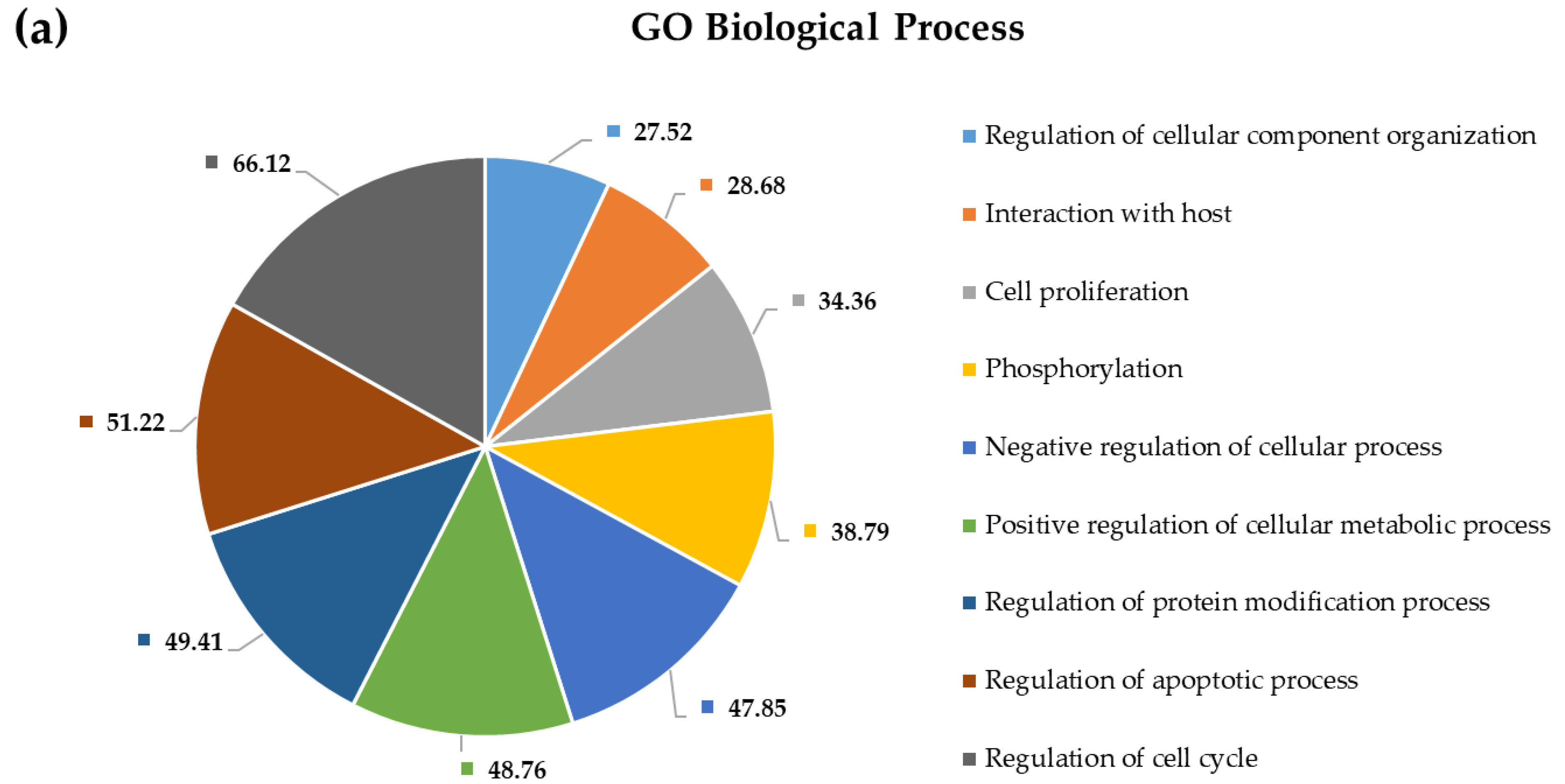 Ijms 22 05058 g008a Ijms 22 05058 g008a