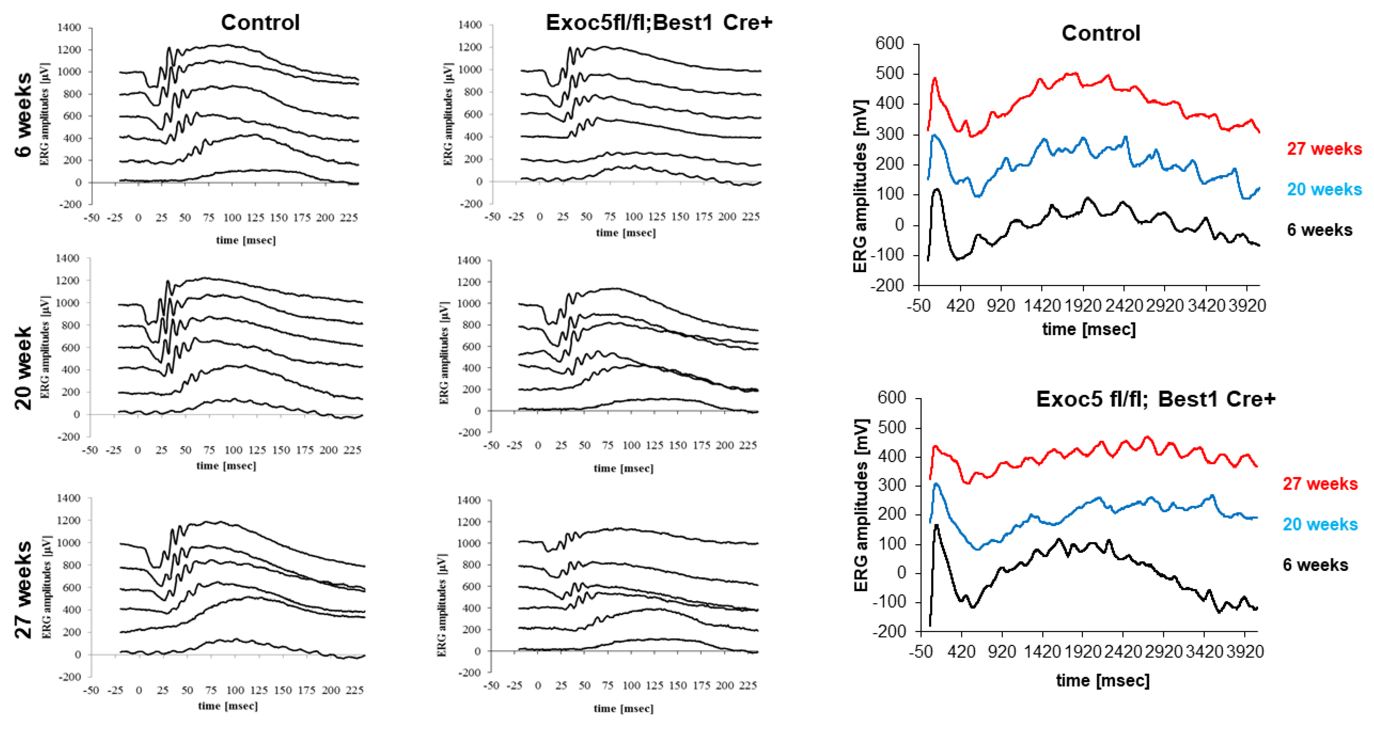 Ijms 22 05083 g008 Ijms 22 05083 g008