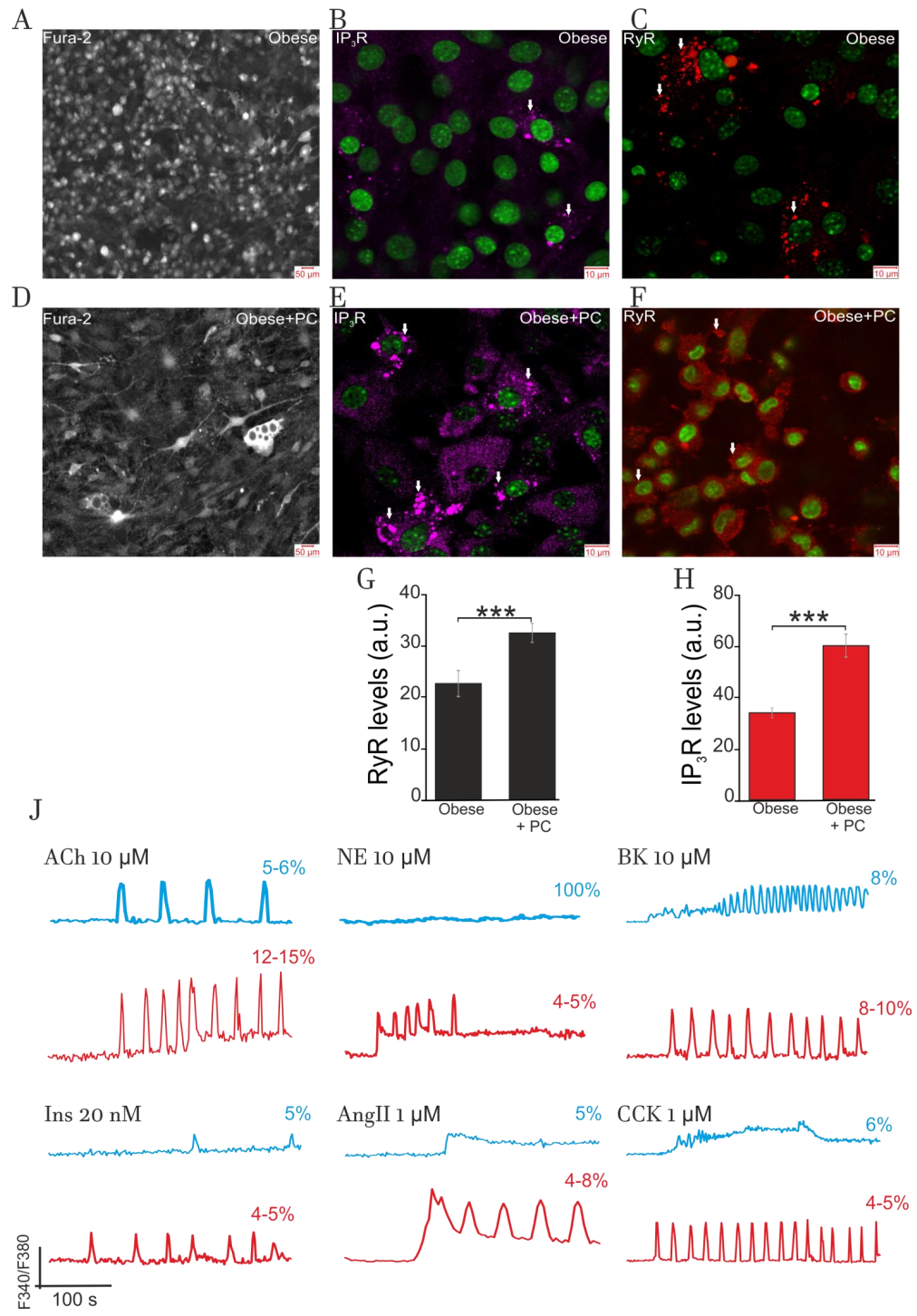 Ijms 22 05109 g008 Ijms 22 05109 g008