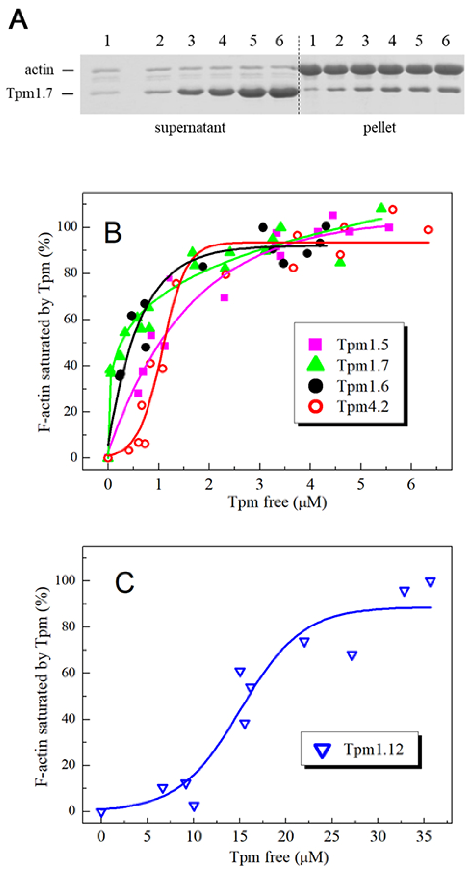 Ijms 22 05141 g004 Ijms 22 05141 g004