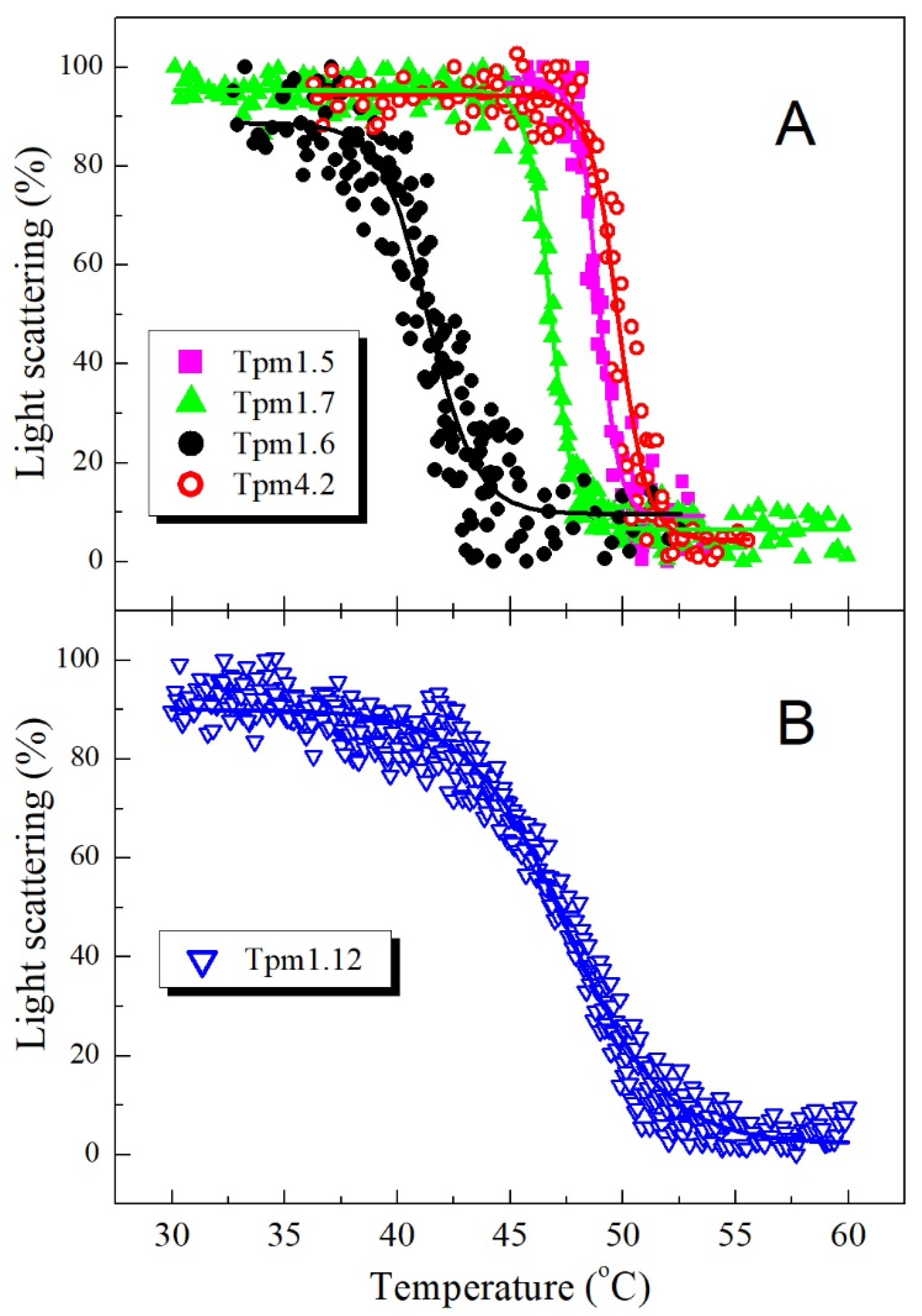 Ijms 22 05141 g005 Ijms 22 05141 g005