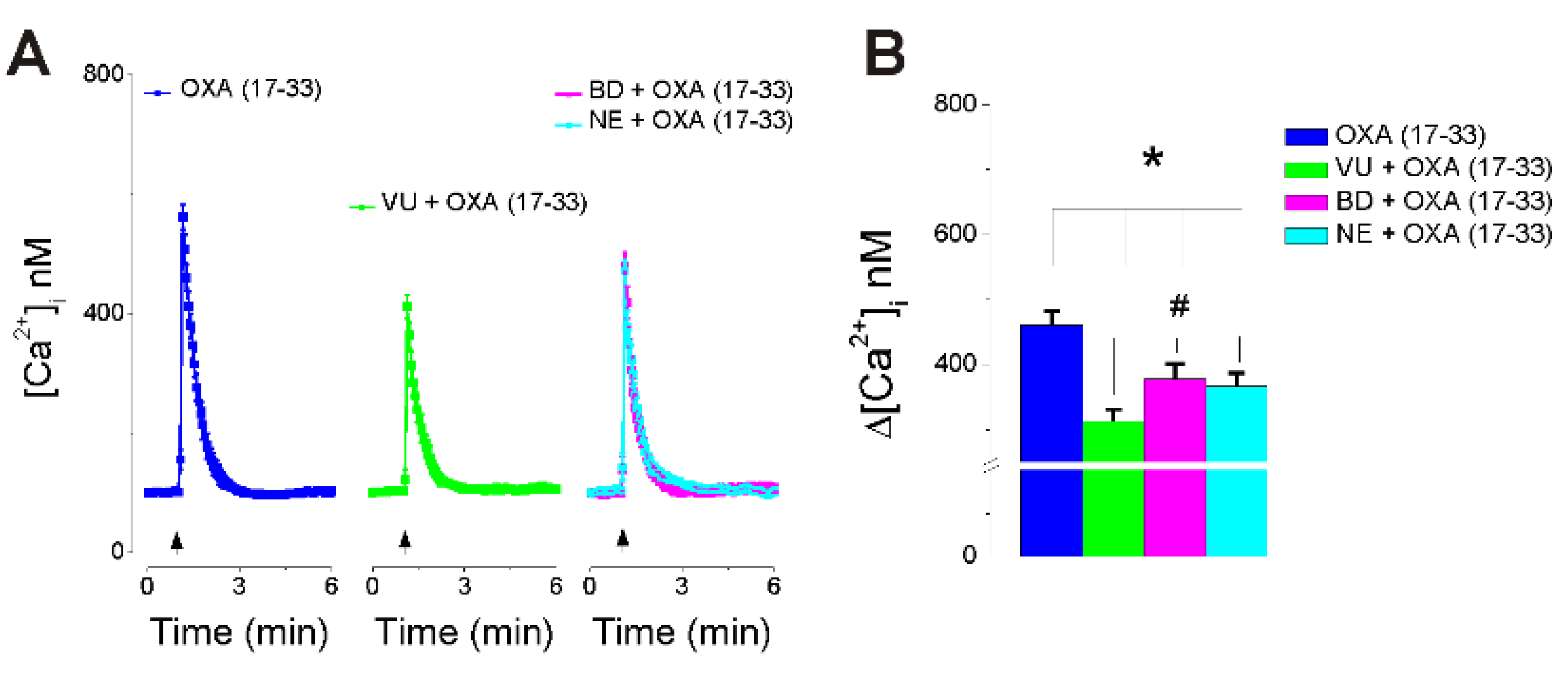 Ijms 22 05160 g003 Ijms 22 05160 g003