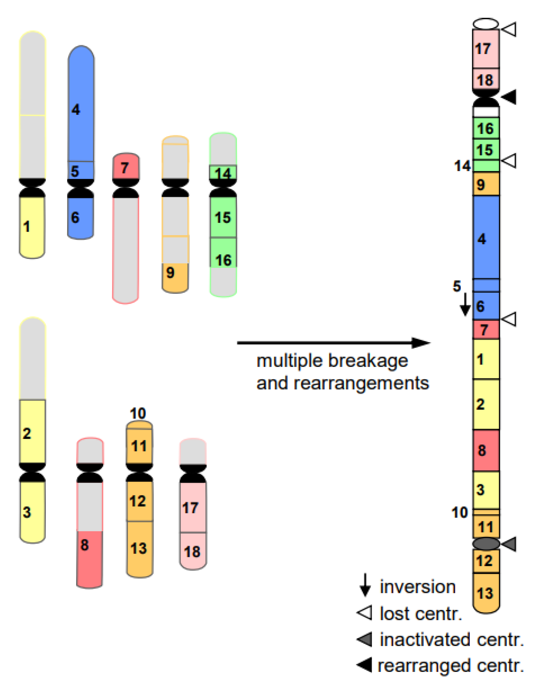 Ijms 22 05171 g008 Ijms 22 05171 g008