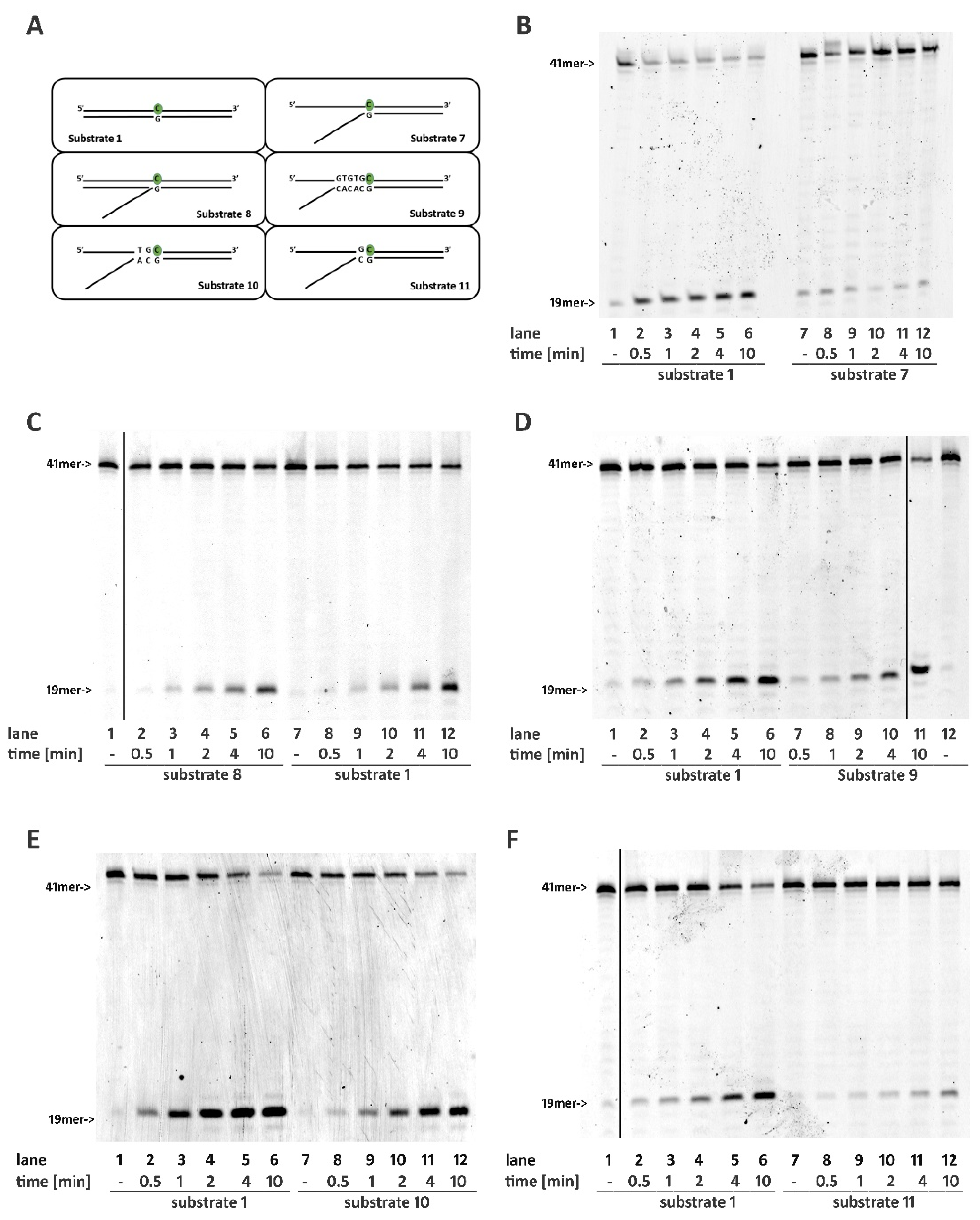 Ijms 22 05201 g002 Ijms 22 05201 g002