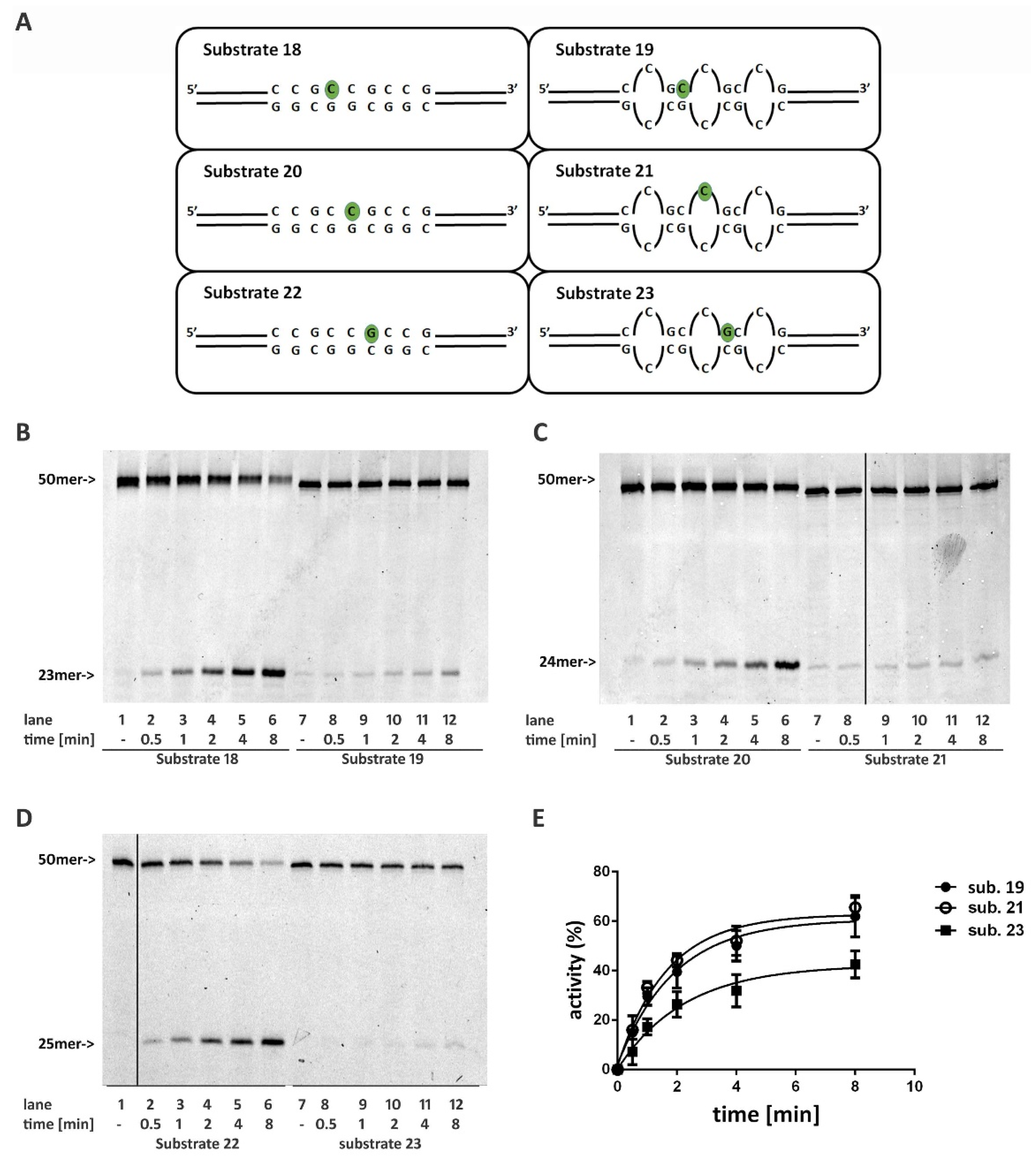 Ijms 22 05201 g005 Ijms 22 05201 g005