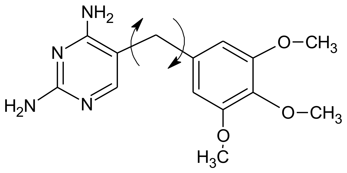 Ijms 22 05212 g005 Ijms 22 05212 g005